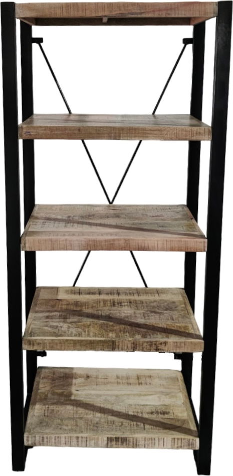 Βιβλιοθήκη Asha 1