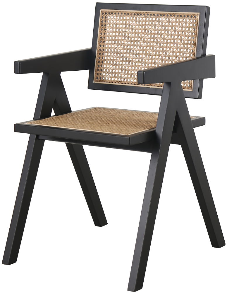 Πολυθρόνα Theodore 1