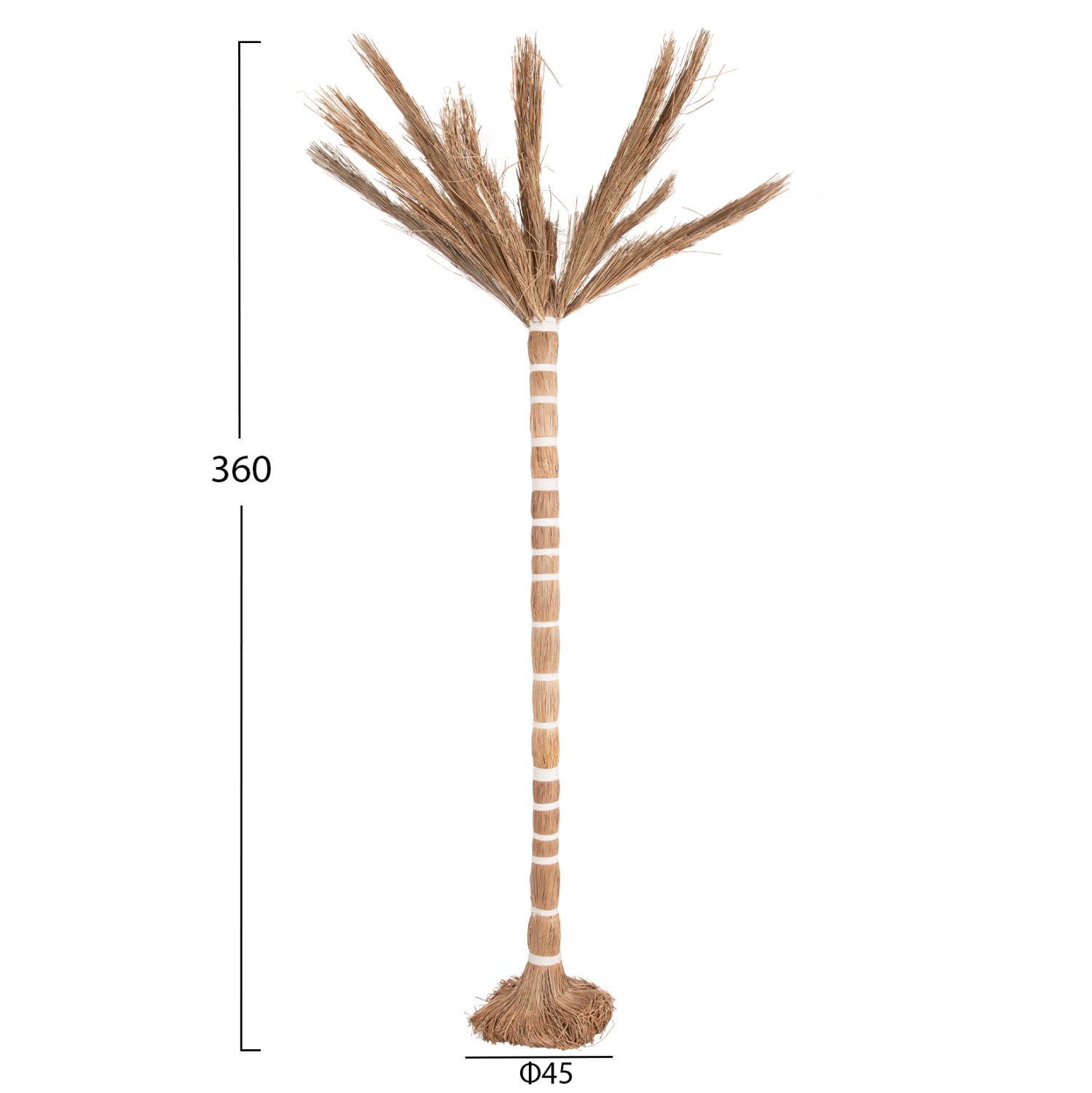 ΔΙΑΚΟΣΜΗΤΙΚΟ ΔΕΝΤΡΟ TROPIC τ.ΦΟΙΝΙΚΑ ΑΠΟ MENDONG GRASS 360Yεκ. 2