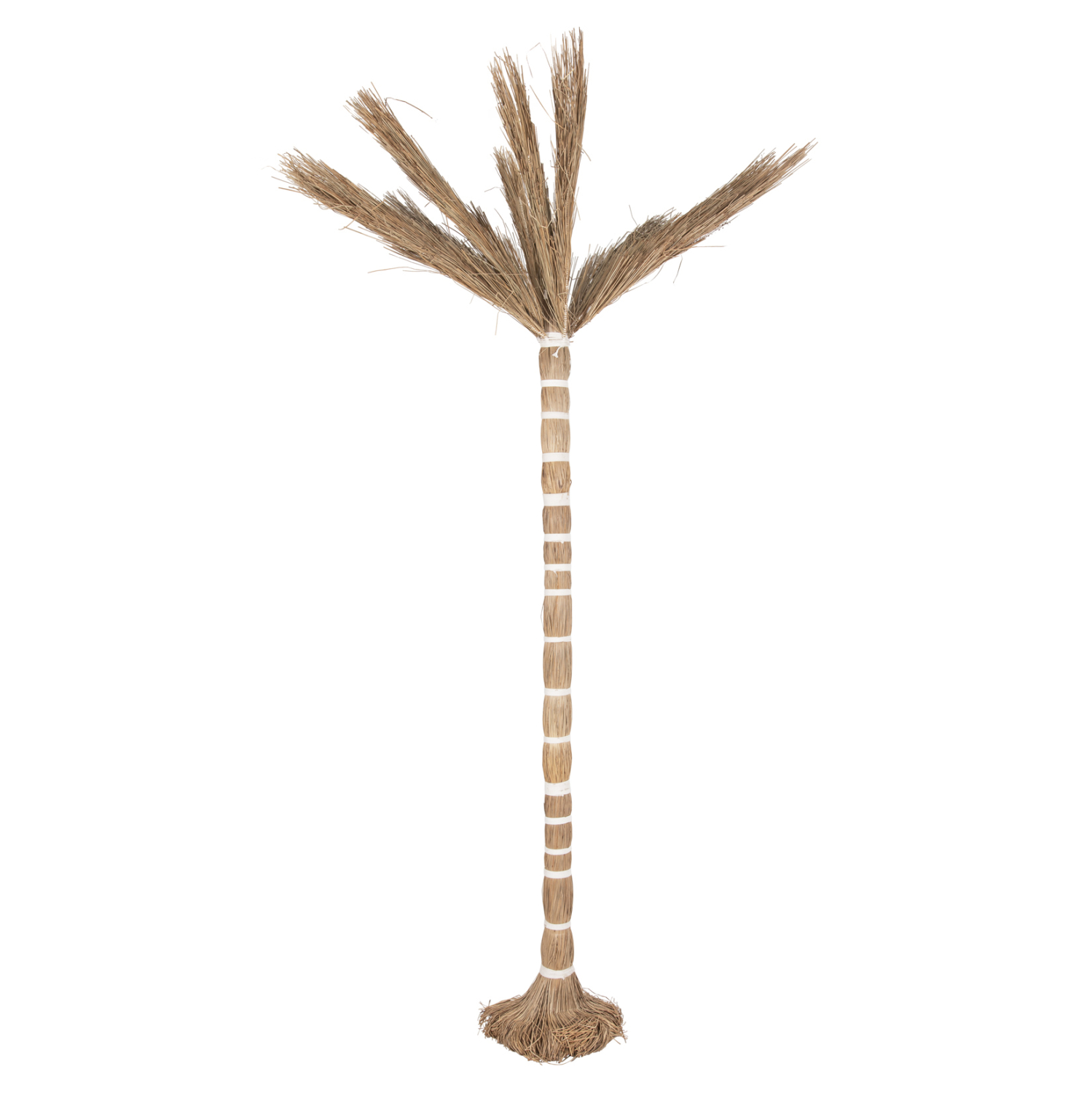 ΔΙΑΚΟΣΜΗΤΙΚΟ ΔΕΝΤΡΟ TROPIC τ.ΦΟΙΝΙΚΑ ΑΠΟ MENDONG GRASS 360Yεκ. 3