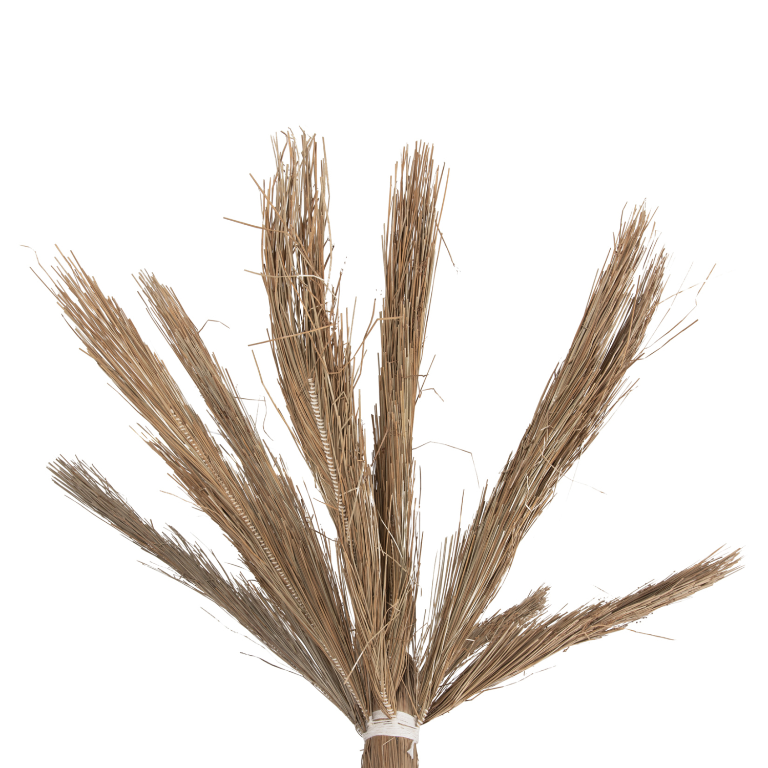 ΔΙΑΚΟΣΜΗΤΙΚΟ ΔΕΝΤΡΟ TROPIC τ.ΦΟΙΝΙΚΑ ΑΠΟ MENDONG GRASS 360Yεκ. 4