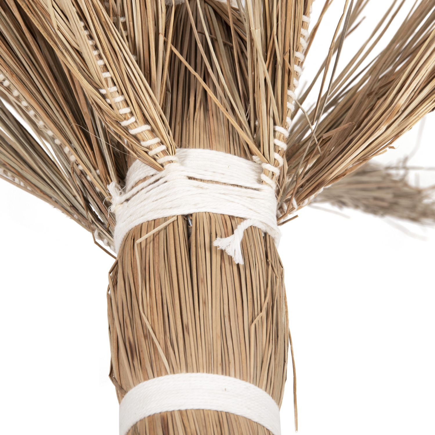 ΔΙΑΚΟΣΜΗΤΙΚΟ ΔΕΝΤΡΟ TROPIC τ.ΦΟΙΝΙΚΑ ΑΠΟ MENDONG GRASS 360Yεκ. 5