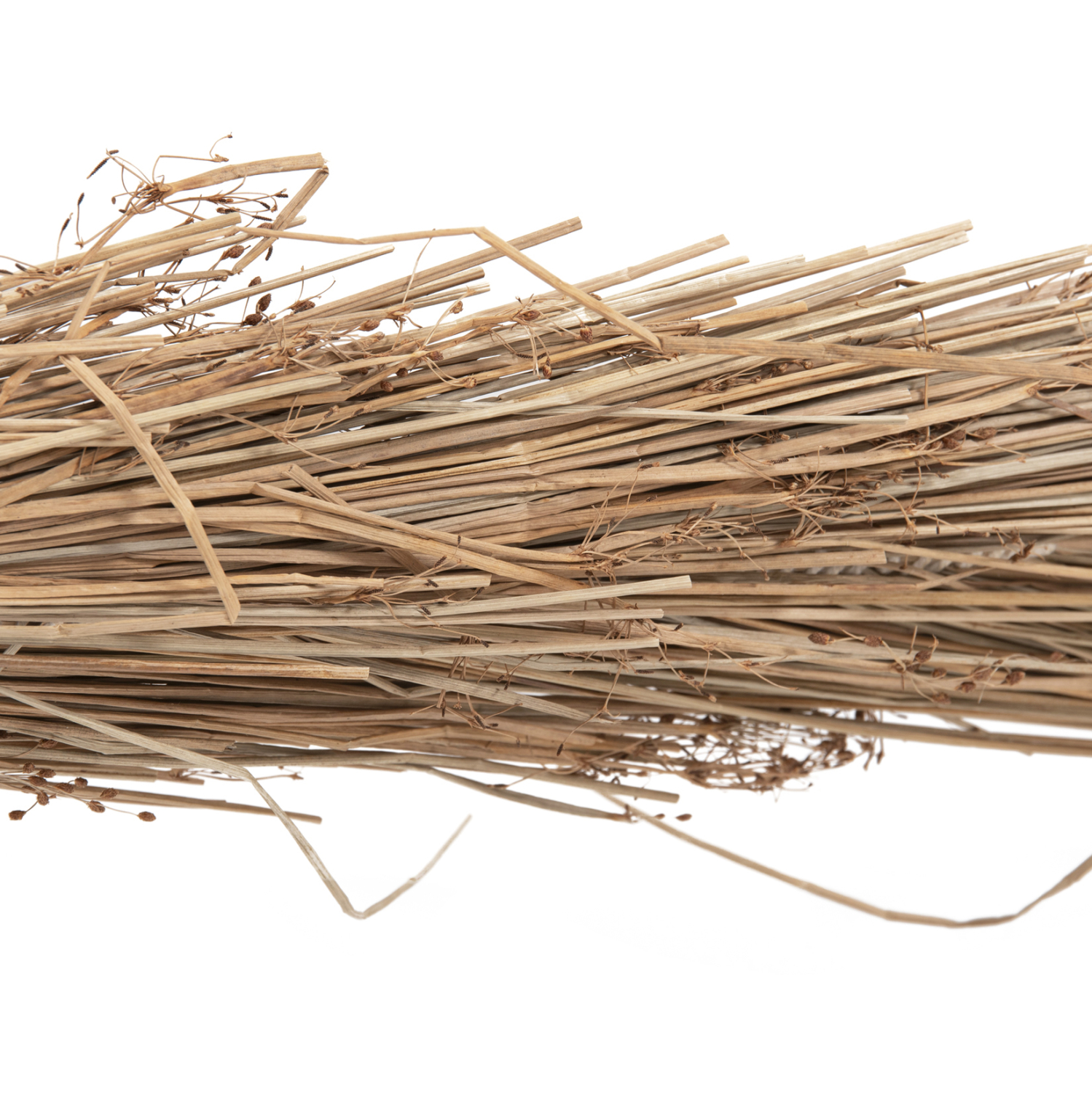 ΔΙΑΚΟΣΜΗΤΙΚΟ ΔΕΝΤΡΟ TROPIC τ.ΦΟΙΝΙΚΑ ΑΠΟ MENDONG GRASS 360Yεκ. 6