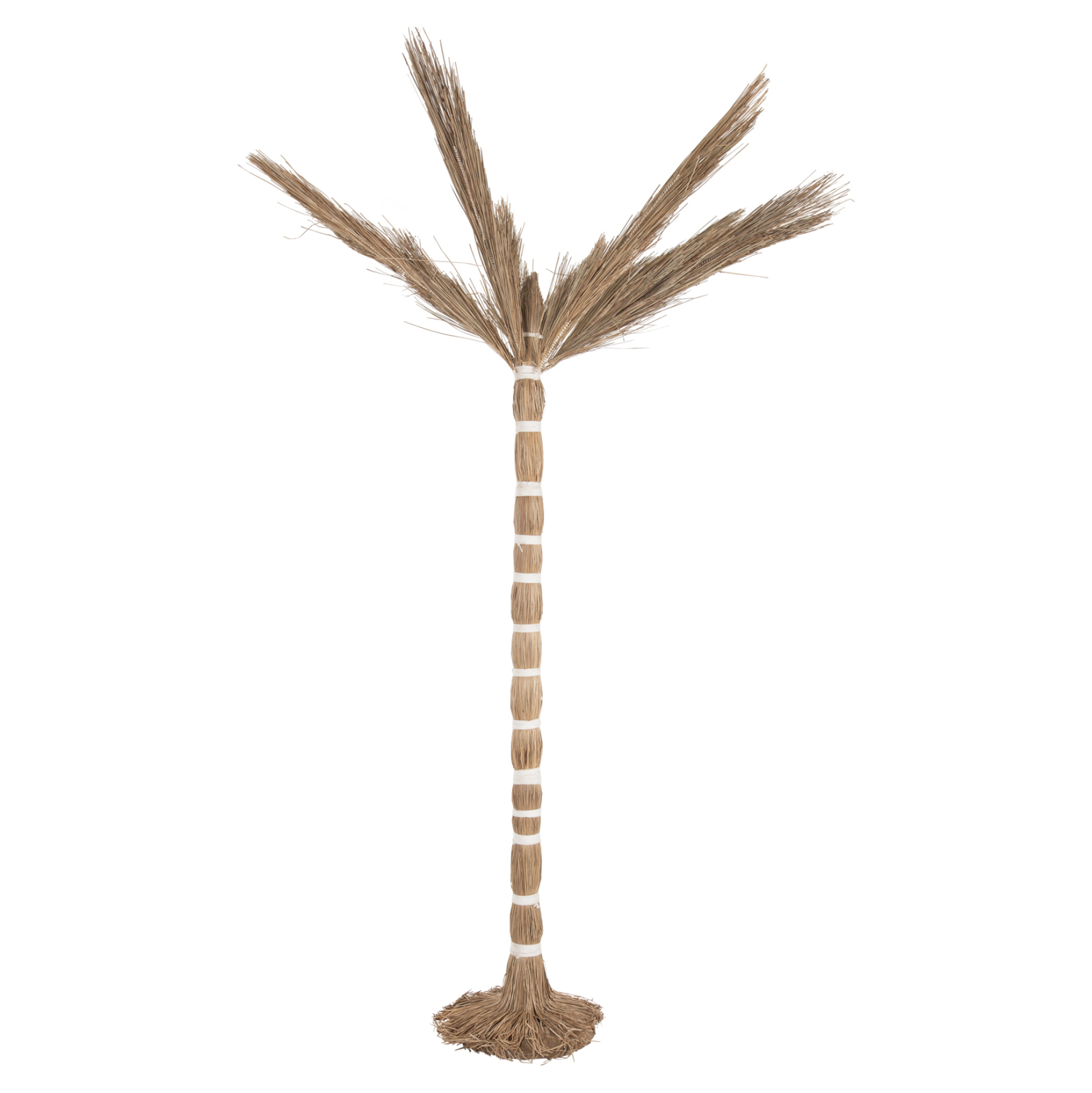 ΔΙΑΚΟΣΜΗΤΙΚΟ ΔΕΝΤΡΟ TROPIC τ.ΦΟΙΝΙΚΑ ΑΠΟ MENDONG GRASS 310Yεκ. 3