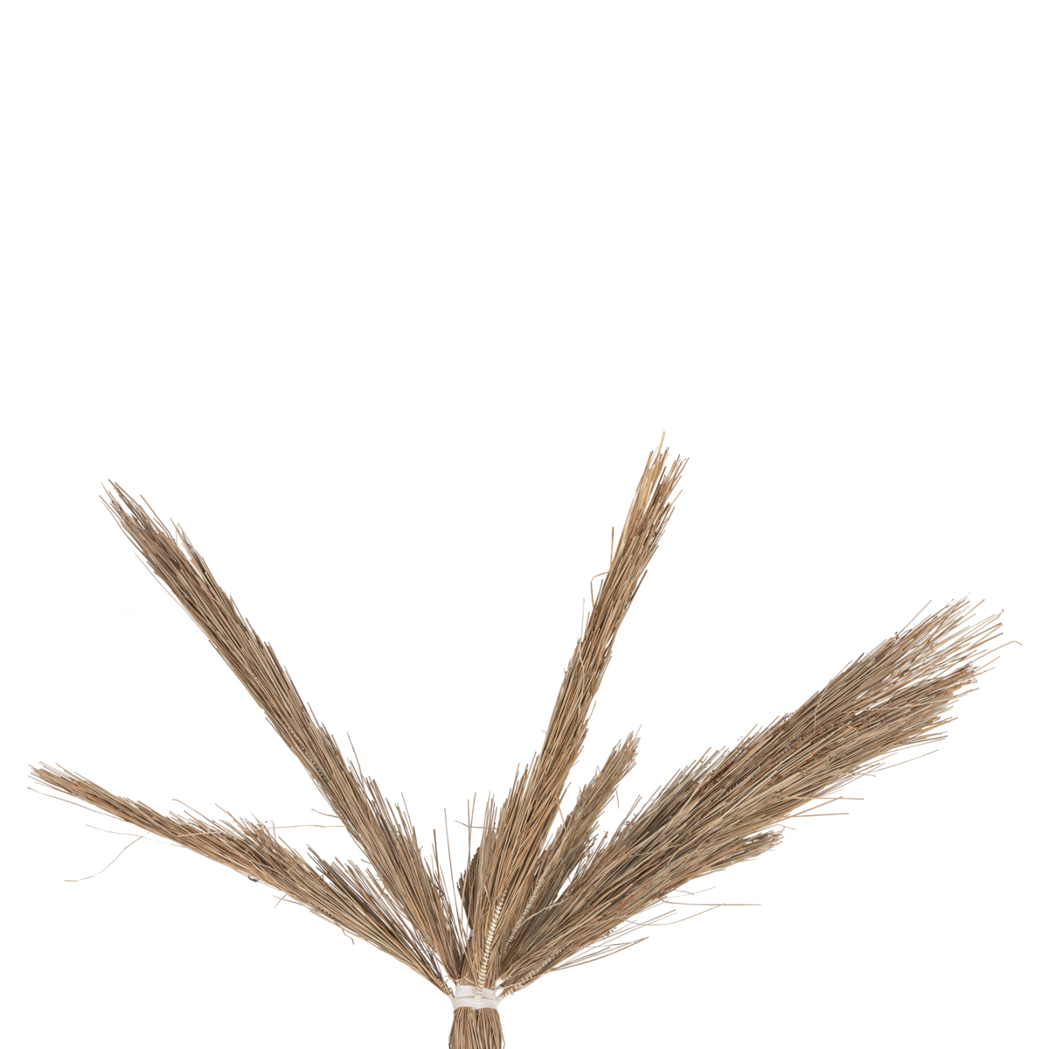 ΔΙΑΚΟΣΜΗΤΙΚΟ ΔΕΝΤΡΟ TROPIC τ.ΦΟΙΝΙΚΑ ΑΠΟ MENDONG GRASS 310Yεκ. 4