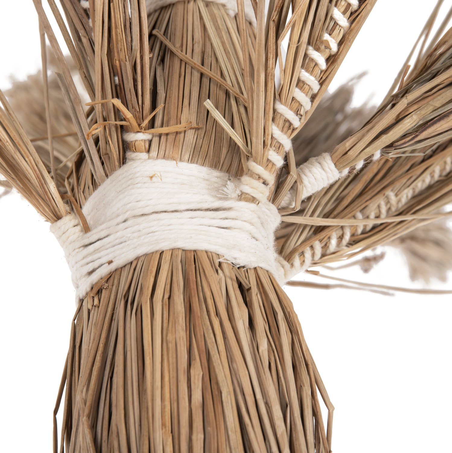 ΔΙΑΚΟΣΜΗΤΙΚΟ ΔΕΝΤΡΟ TROPIC τ.ΦΟΙΝΙΚΑ ΑΠΟ MENDONG GRASS 310Yεκ. 5