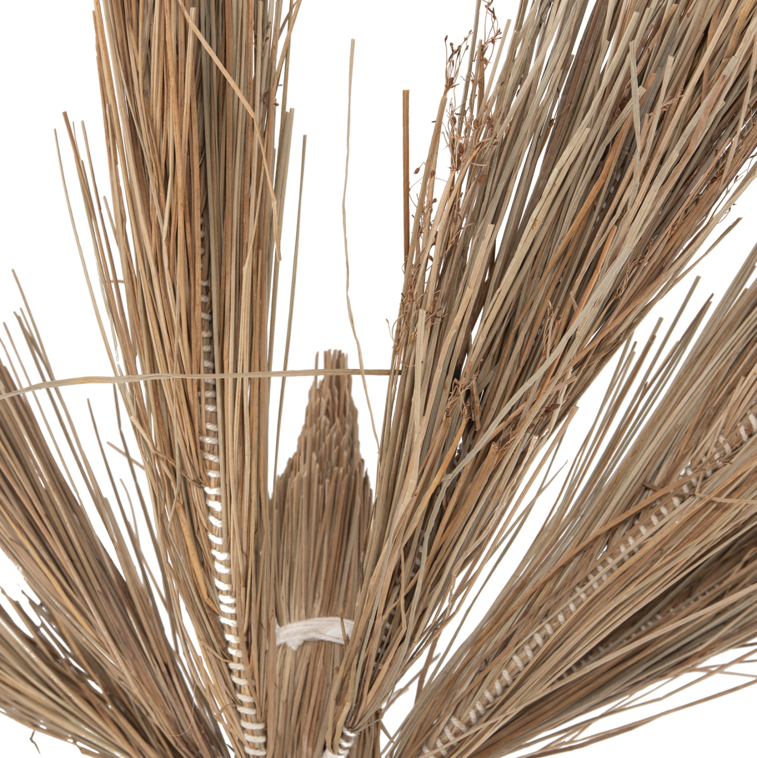 ΔΙΑΚΟΣΜΗΤΙΚΟ ΔΕΝΤΡΟ TROPIC τ.ΦΟΙΝΙΚΑ ΑΠΟ MENDONG GRASS 310Yεκ. 6