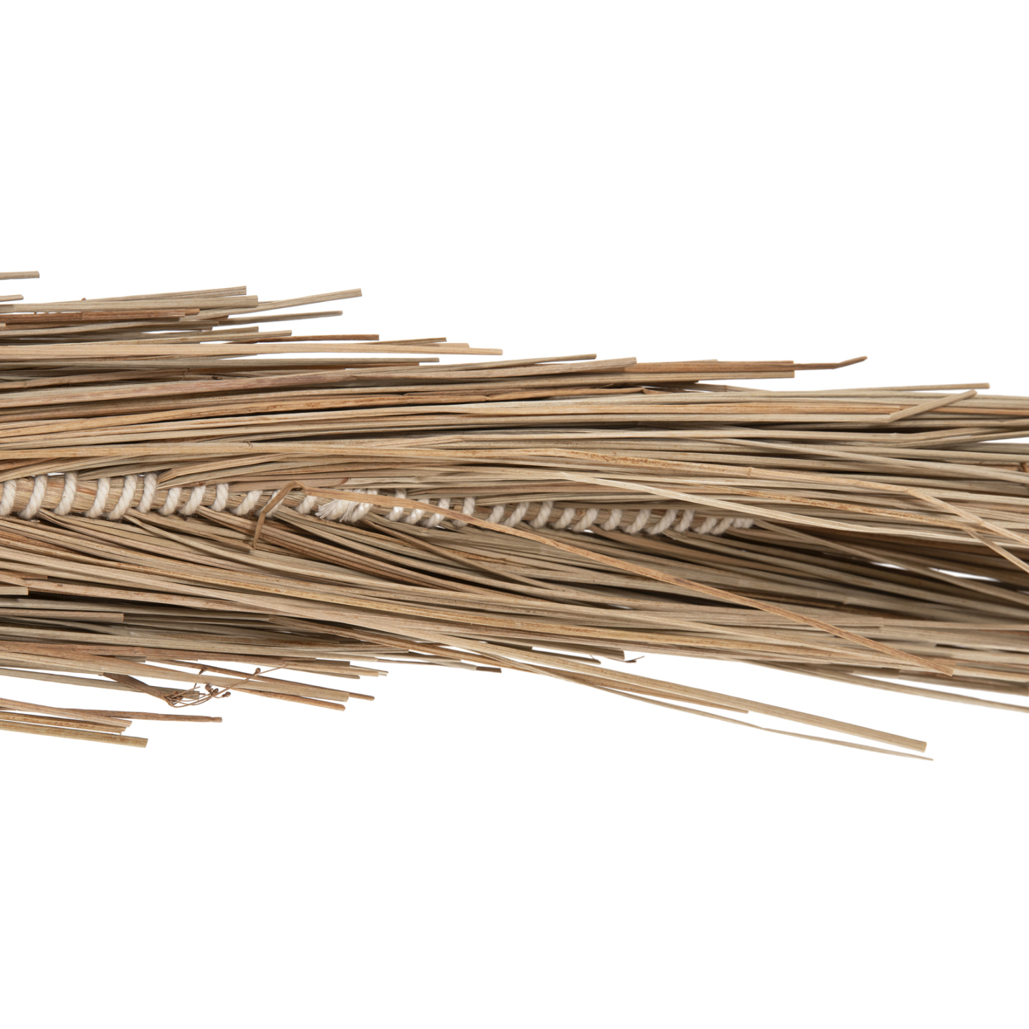 ΔΙΑΚΟΣΜΗΤΙΚΟ ΔΕΝΤΡΟ TROPIC τ.ΦΟΙΝΙΚΑ ΑΠΟ MENDONG GRASS 310Yεκ. 7