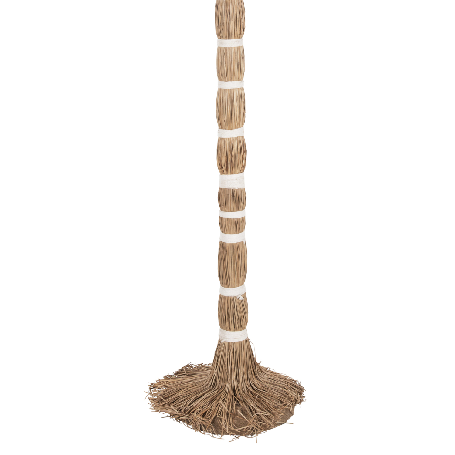 ΔΙΑΚΟΣΜΗΤΙΚΟ ΔΕΝΤΡΟ TROPIC τ.ΦΟΙΝΙΚΑ ΑΠΟ MENDONG GRASS 310Yεκ. 8