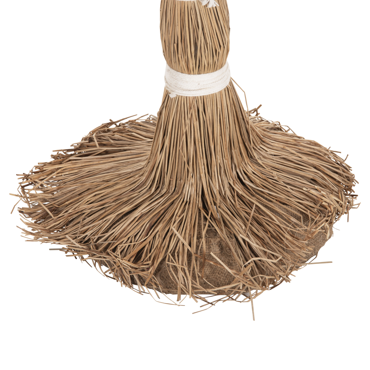 ΔΙΑΚΟΣΜΗΤΙΚΟ ΔΕΝΤΡΟ TROPIC τ.ΦΟΙΝΙΚΑ ΑΠΟ MENDONG GRASS 310Yεκ. 9