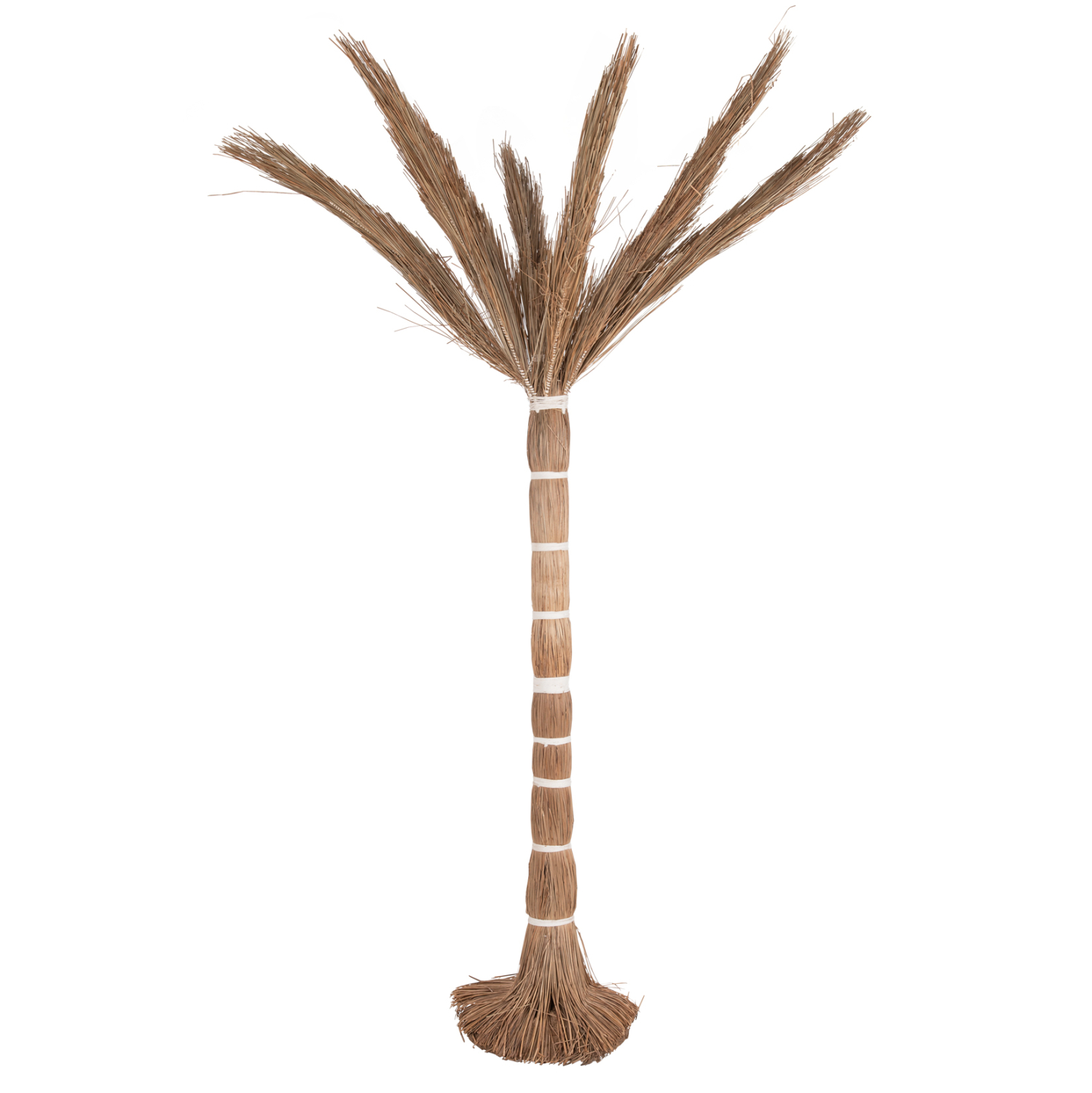ΔΙΑΚΟΣΜΗΤΙΚΟ ΔΕΝΤΡΟ TROPIC τ.ΦΟΙΝΙΚΑ ΑΠΟ MENDONG GRASS 280Yεκ. 1
