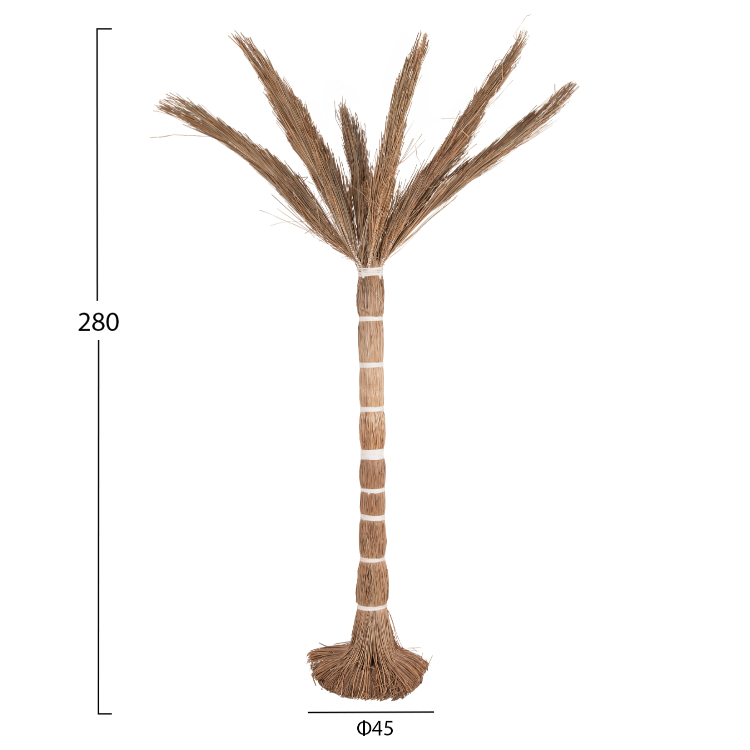 ΔΙΑΚΟΣΜΗΤΙΚΟ ΔΕΝΤΡΟ TROPIC τ.ΦΟΙΝΙΚΑ ΑΠΟ MENDONG GRASS 280Yεκ. 2