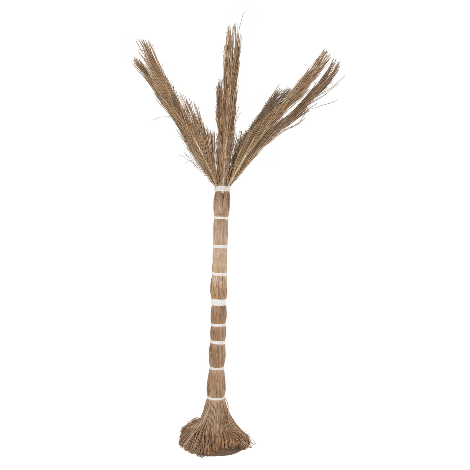 ΔΙΑΚΟΣΜΗΤΙΚΟ ΔΕΝΤΡΟ TROPIC τ.ΦΟΙΝΙΚΑ ΑΠΟ MENDONG GRASS 280Yεκ. 3