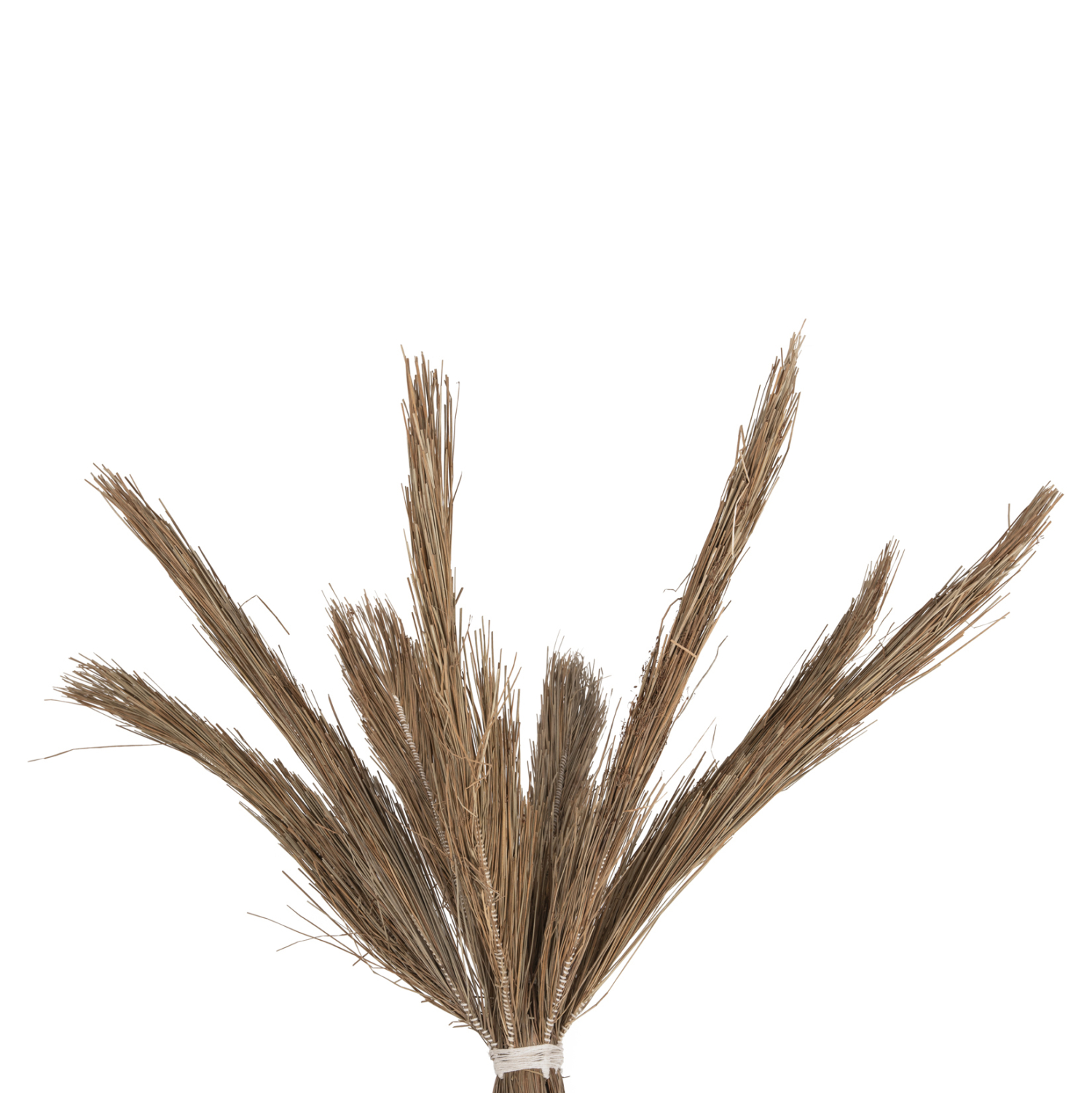 ΔΙΑΚΟΣΜΗΤΙΚΟ ΔΕΝΤΡΟ TROPIC τ.ΦΟΙΝΙΚΑ ΑΠΟ MENDONG GRASS 280Yεκ. 4