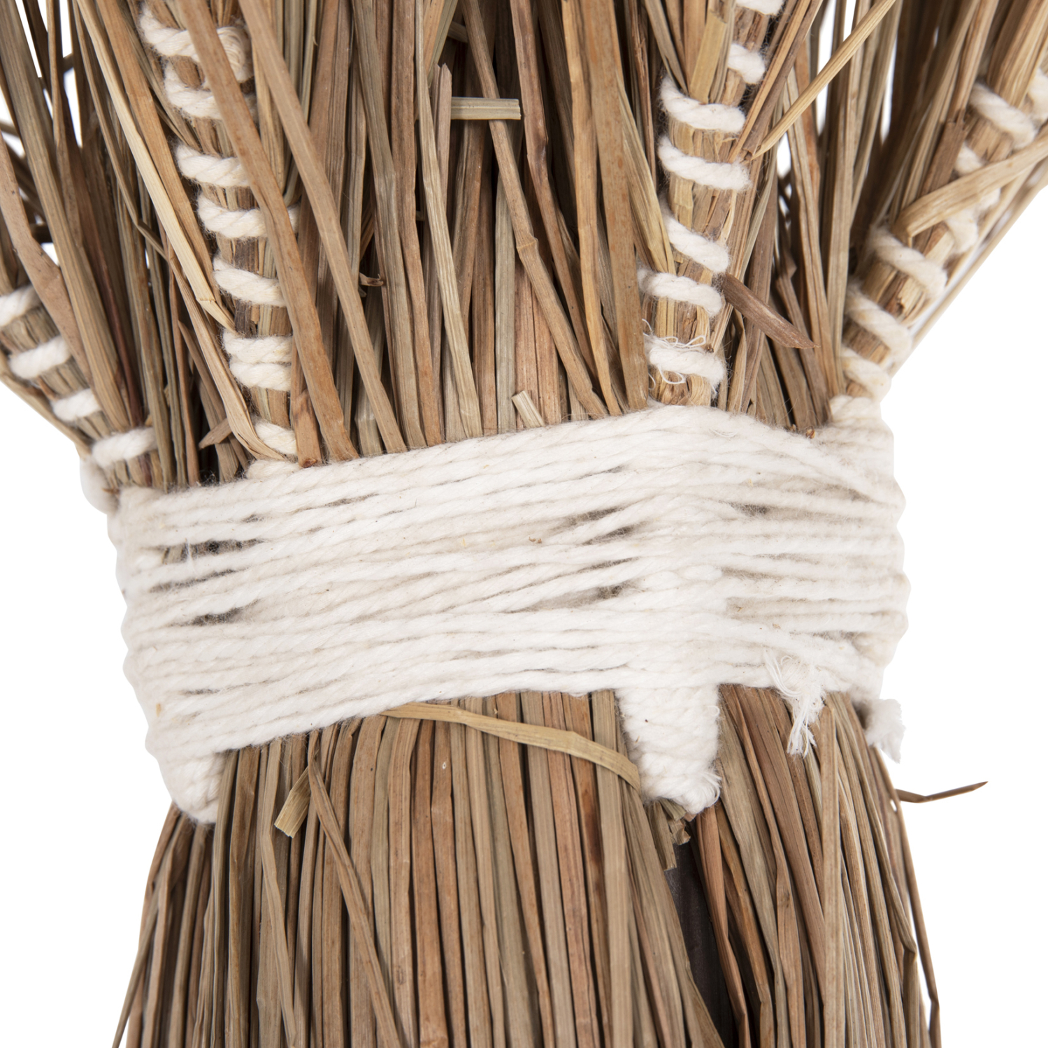 ΔΙΑΚΟΣΜΗΤΙΚΟ ΔΕΝΤΡΟ TROPIC τ.ΦΟΙΝΙΚΑ ΑΠΟ MENDONG GRASS 280Yεκ. 5