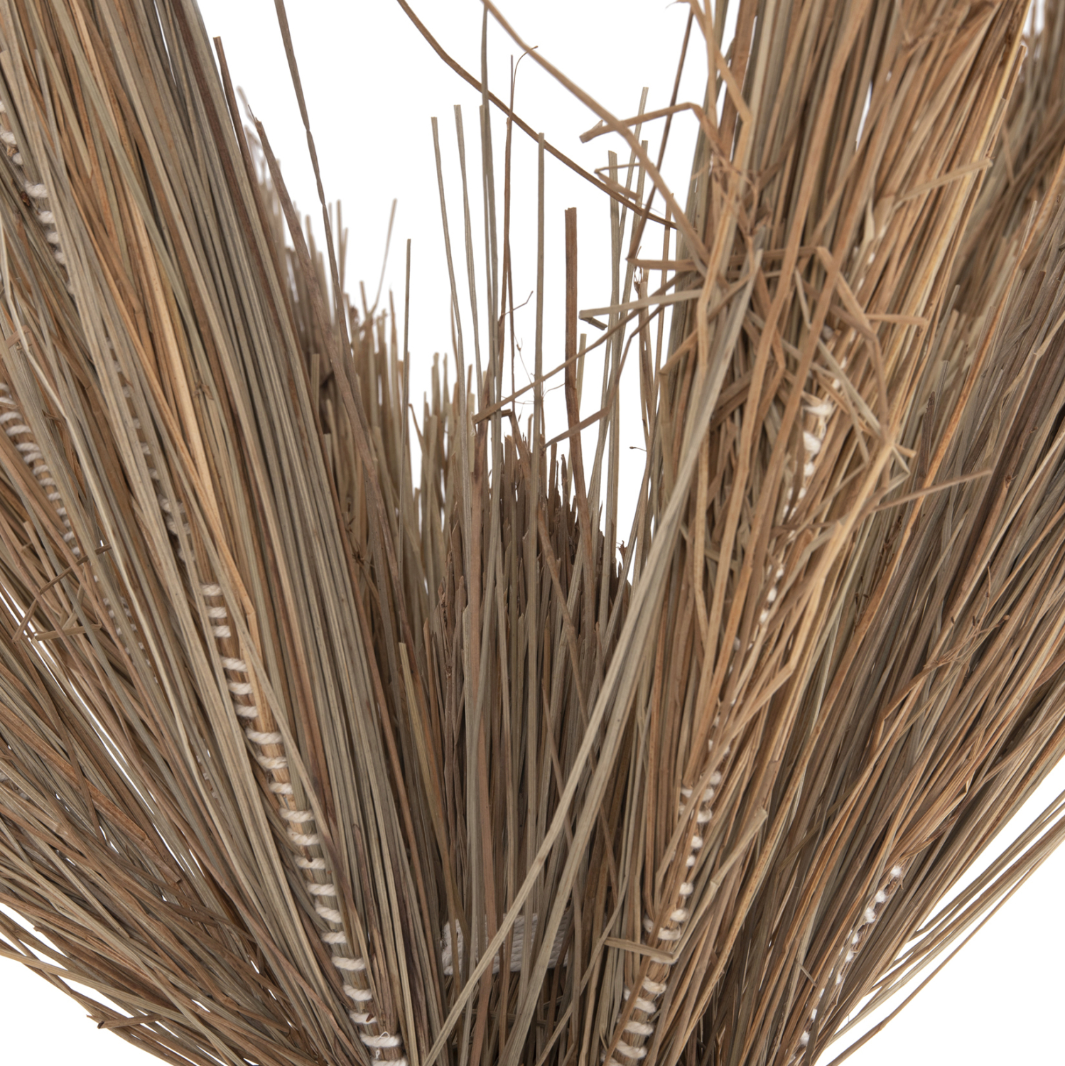 ΔΙΑΚΟΣΜΗΤΙΚΟ ΔΕΝΤΡΟ TROPIC τ.ΦΟΙΝΙΚΑ ΑΠΟ MENDONG GRASS 280Yεκ. 6