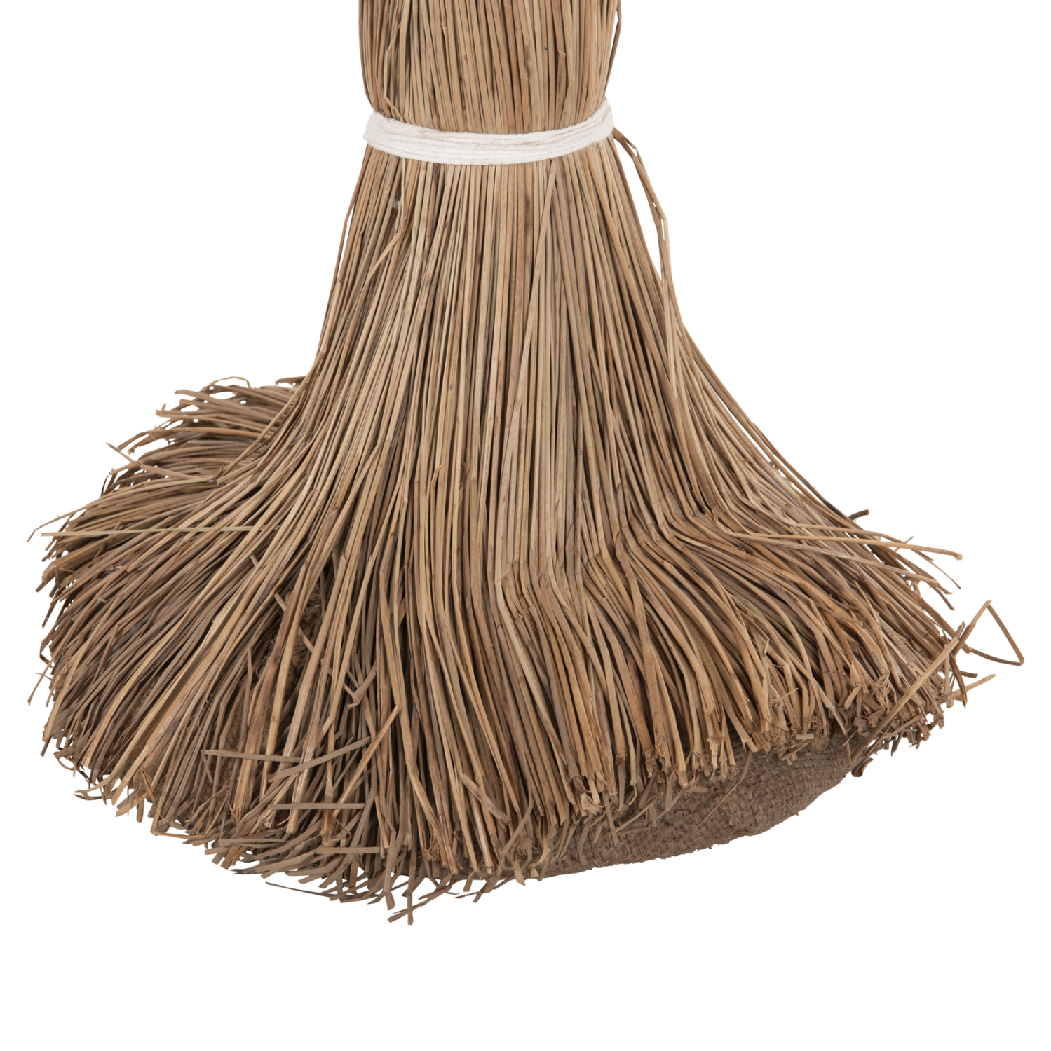 ΔΙΑΚΟΣΜΗΤΙΚΟ ΔΕΝΤΡΟ TROPIC τ.ΦΟΙΝΙΚΑ ΑΠΟ MENDONG GRASS 280Yεκ. 9