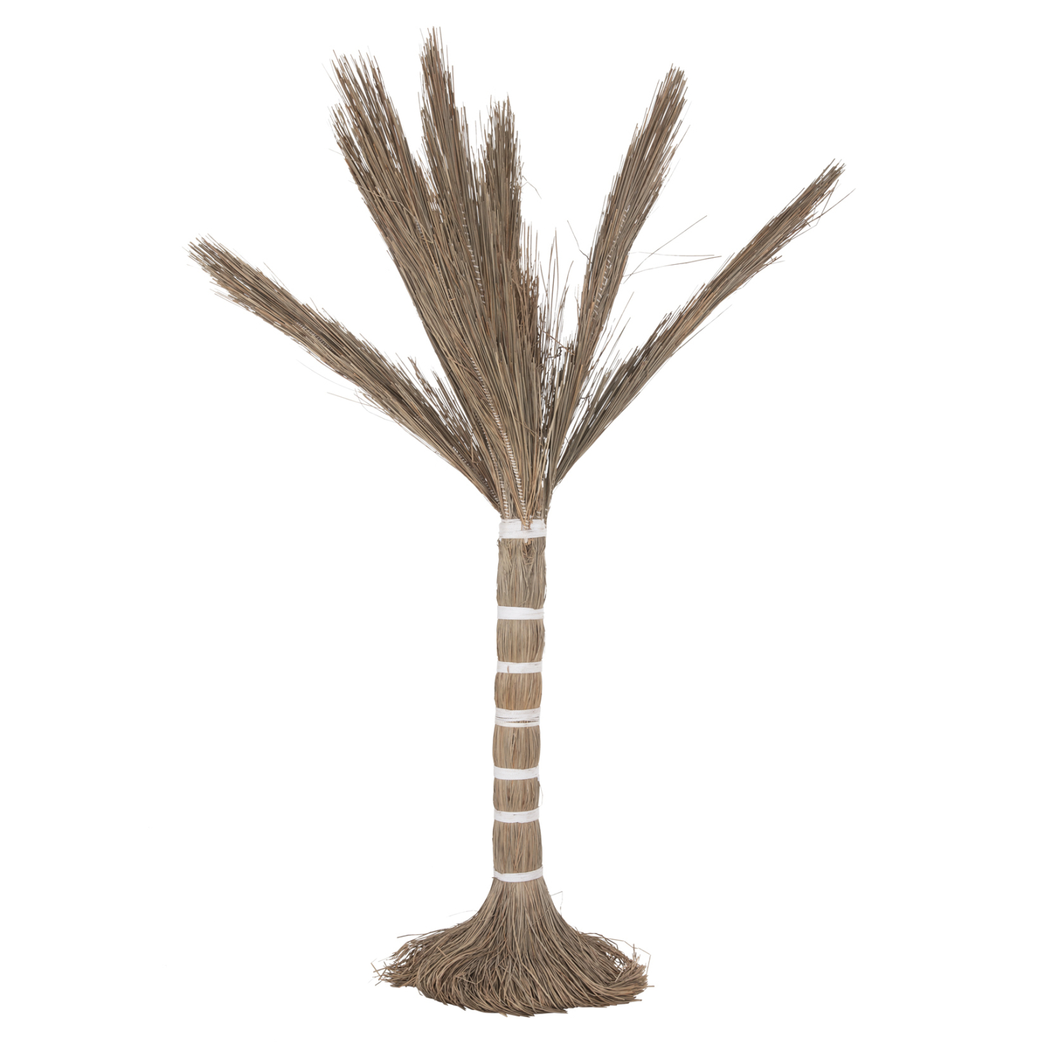 ΔΙΑΚΟΣΜΗΤΙΚΟ ΔΕΝΤΡΟ TROPIC τ.ΦΟΙΝΙΚΑ ΑΠΟ MENDONG GRASS 210Yεκ. 1