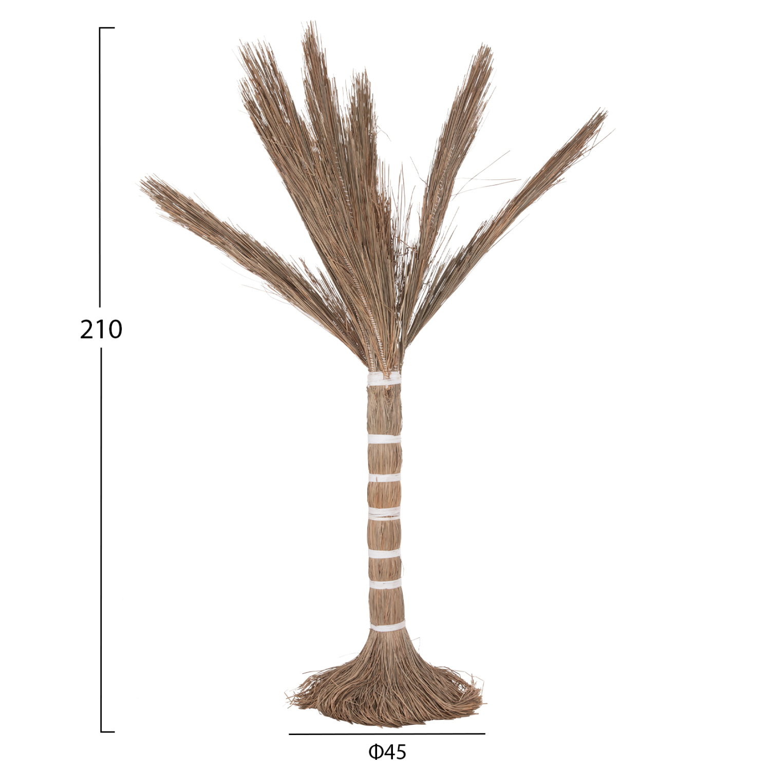 ΔΙΑΚΟΣΜΗΤΙΚΟ ΔΕΝΤΡΟ TROPIC τ.ΦΟΙΝΙΚΑ ΑΠΟ MENDONG GRASS 210Yεκ. 2