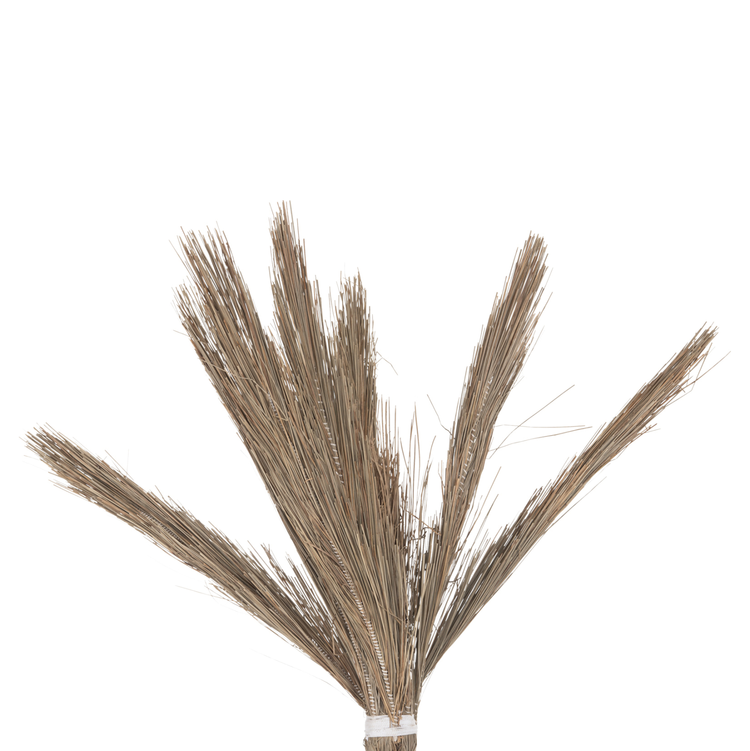 ΔΙΑΚΟΣΜΗΤΙΚΟ ΔΕΝΤΡΟ TROPIC τ.ΦΟΙΝΙΚΑ ΑΠΟ MENDONG GRASS 210Yεκ. 4
