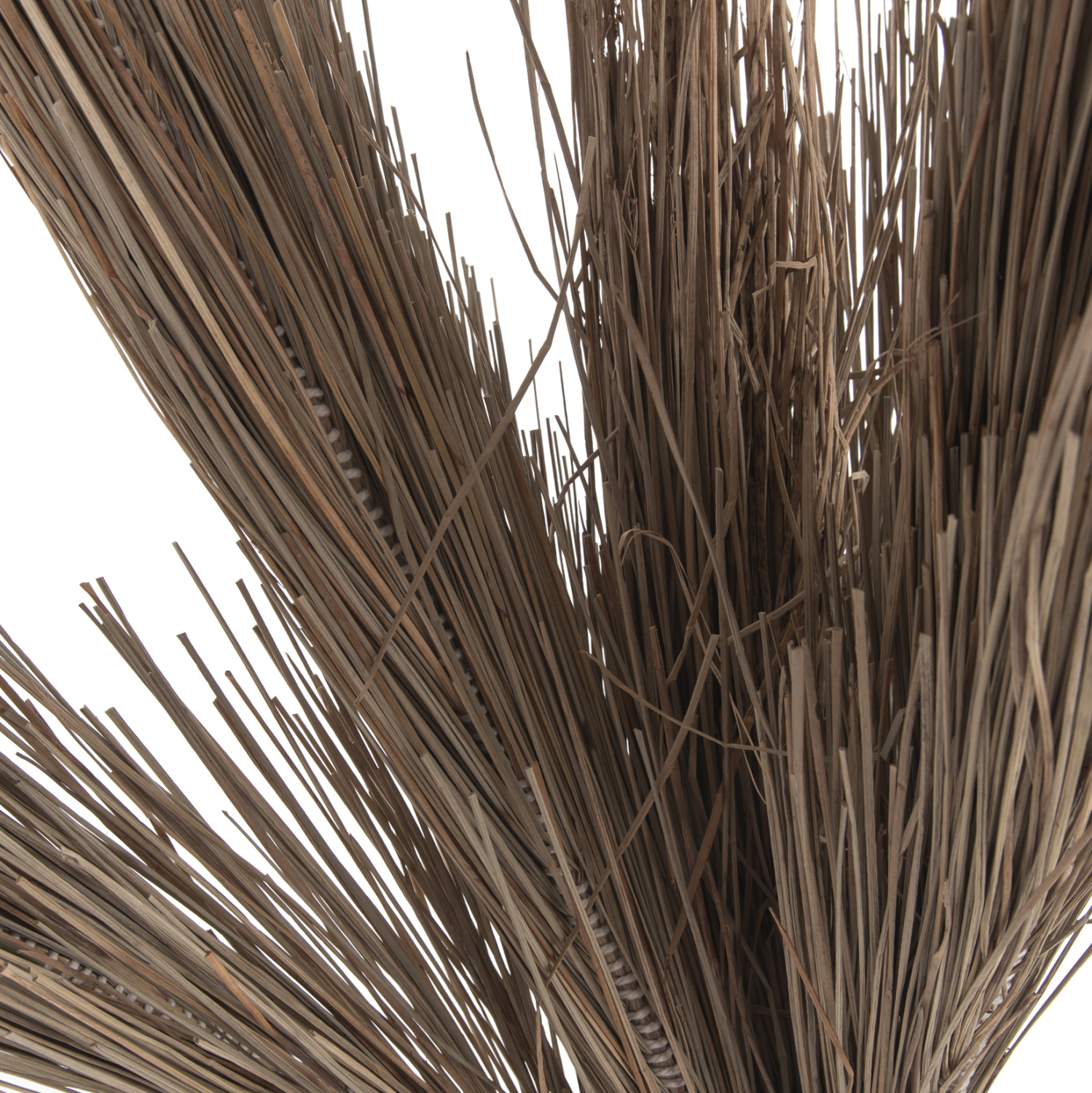 ΔΙΑΚΟΣΜΗΤΙΚΟ ΔΕΝΤΡΟ TROPIC τ.ΦΟΙΝΙΚΑ ΑΠΟ MENDONG GRASS 210Yεκ. 6