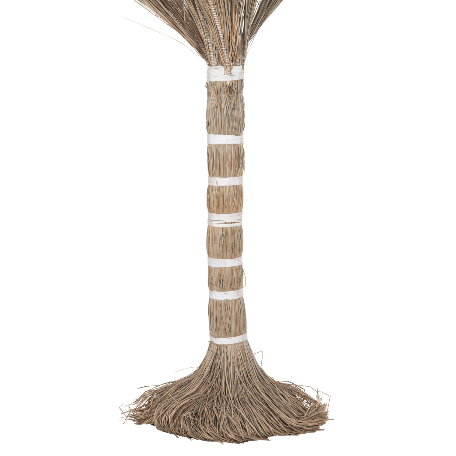 ΔΙΑΚΟΣΜΗΤΙΚΟ ΔΕΝΤΡΟ TROPIC τ.ΦΟΙΝΙΚΑ ΑΠΟ MENDONG GRASS 210Yεκ. 8