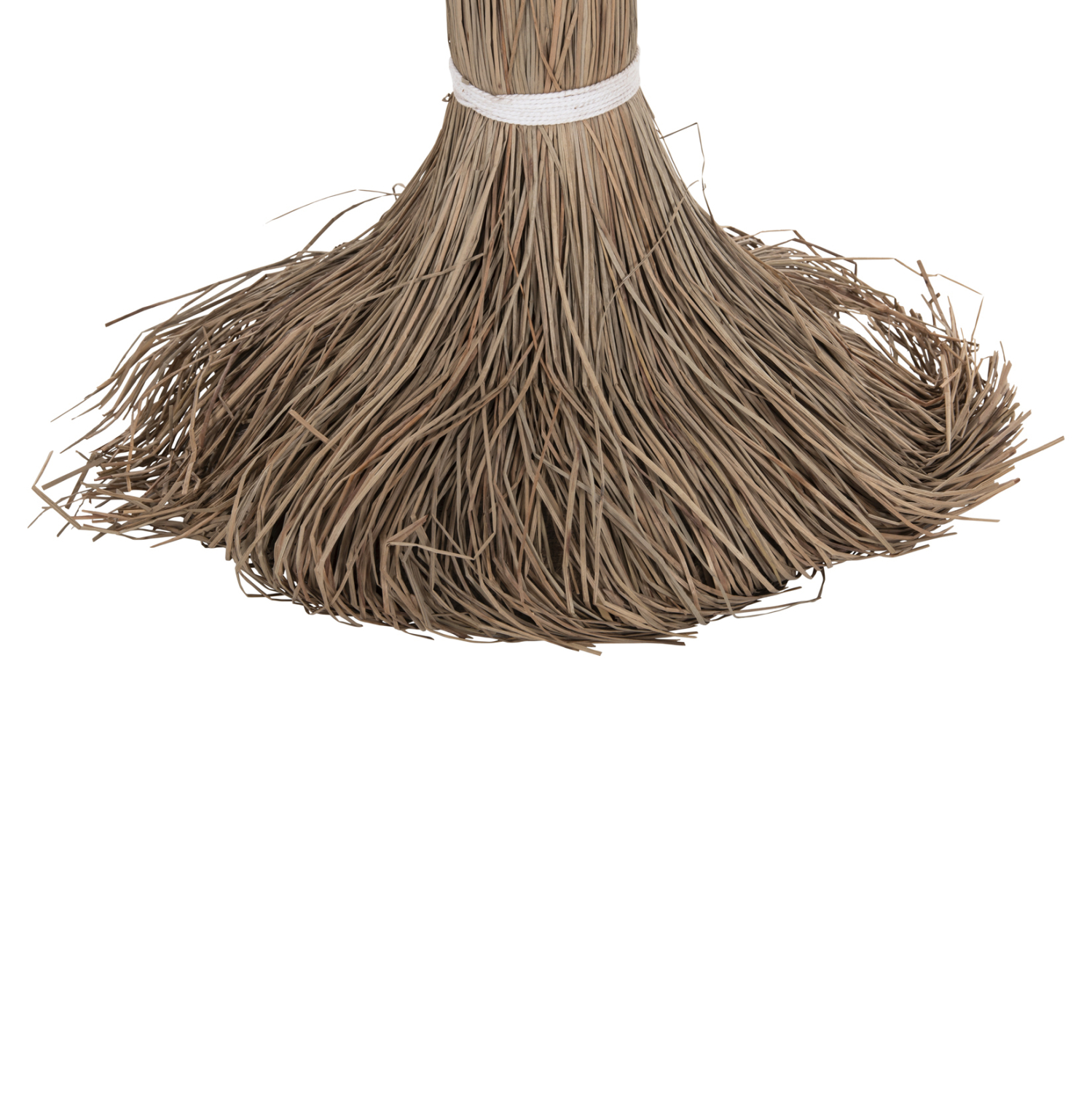 ΔΙΑΚΟΣΜΗΤΙΚΟ ΔΕΝΤΡΟ TROPIC τ.ΦΟΙΝΙΚΑ ΑΠΟ MENDONG GRASS 210Yεκ. 9