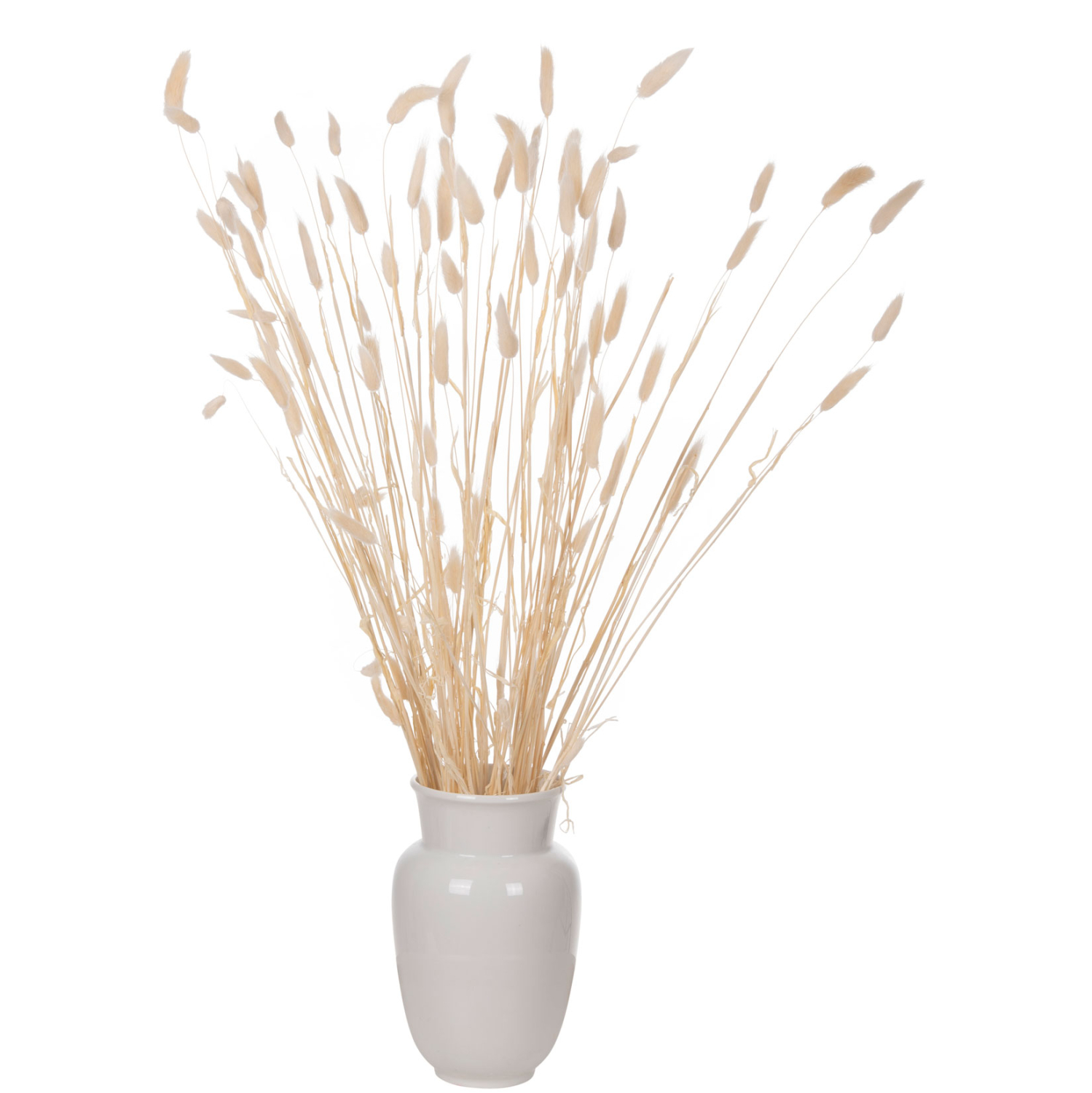 ΔΙΑΚΟΣΜΗΤΙΚΟ ΜΠΟΥΚΕΤΟ ΑΠΟΞΗΡΑΜΕΝΟ RABBIT TAIL- CREAM 50gr 76Υεκ. 5