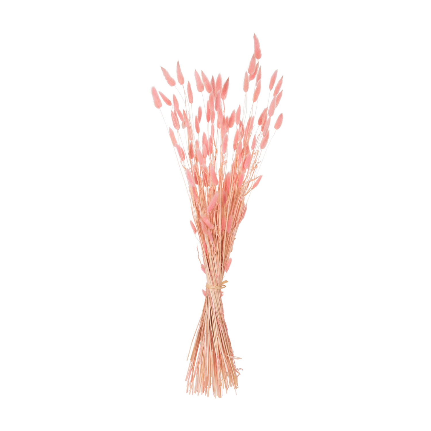 ΔΙΑΚΟΣΜΗΤΙΚΟ ΜΠΟΥΚΕΤΟ ΑΠΟΞΗΡΑΜΕΝΟ RABBIT TAIL-PINK 75Υεκ. 1