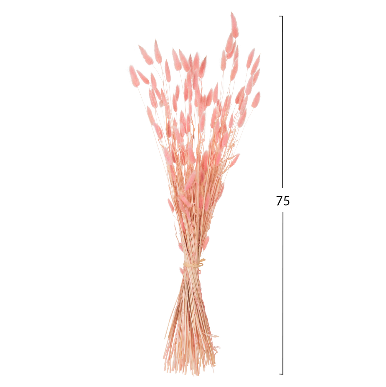 ΔΙΑΚΟΣΜΗΤΙΚΟ ΜΠΟΥΚΕΤΟ ΑΠΟΞΗΡΑΜΕΝΟ RABBIT TAIL-PINK 75Υεκ. 2