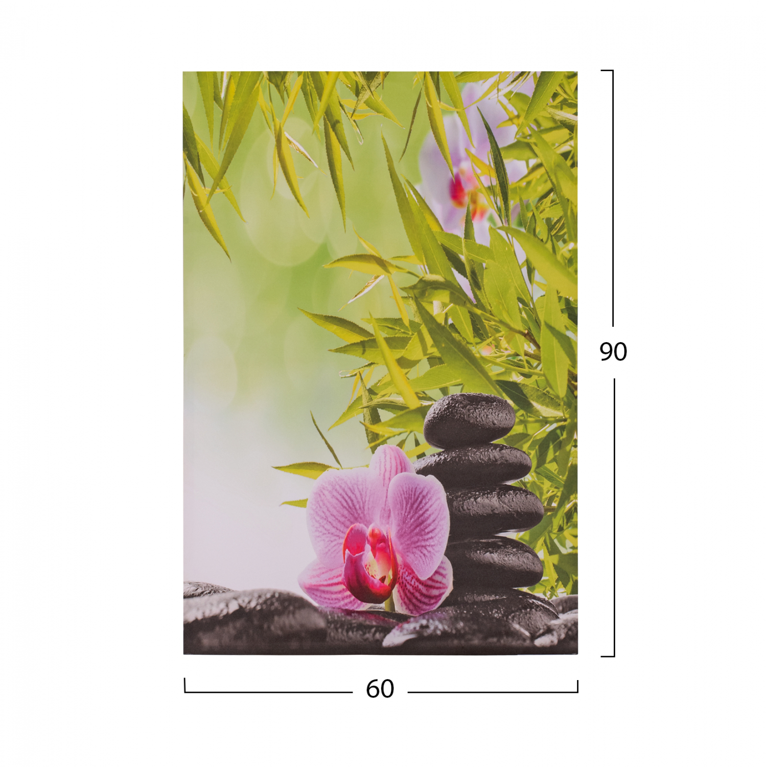 ΠΙΝΑΚΑΣ ΚΑΜΒΑΣ FLOWER 60X90X2.5 εκ. 2