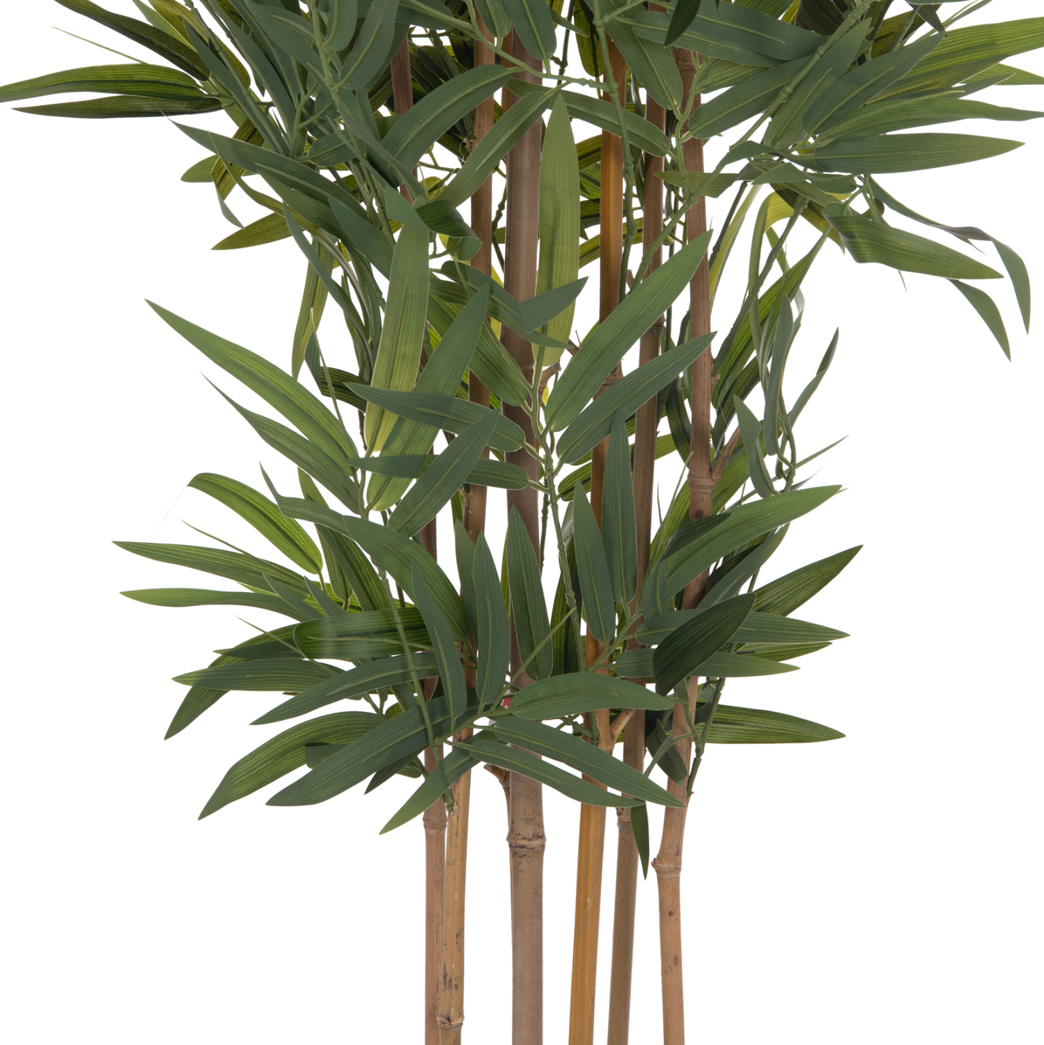 ΔΙΑΚΟΣΜΗΤΙΚΟ ΣΥΝΘΕΤΙΚΟ ΦΥΤΟ HM4736 BAMBOO ΣΕ ΓΛΑΣΤΡΑ 20x95x180Υεκ. 4