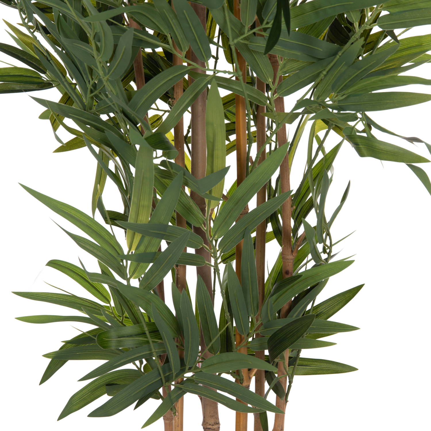 ΔΙΑΚΟΣΜΗΤΙΚΟ ΣΥΝΘΕΤΙΚΟ ΦΥΤΟ HM4736 BAMBOO ΣΕ ΓΛΑΣΤΡΑ 20x95x180Υεκ. 7