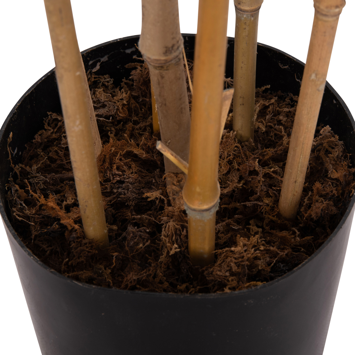 ΔΙΑΚΟΣΜΗΤΙΚΟ ΣΥΝΘΕΤΙΚΟ ΦΥΤΟ HM4736 BAMBOO ΣΕ ΓΛΑΣΤΡΑ 20x95x180Υεκ. 9