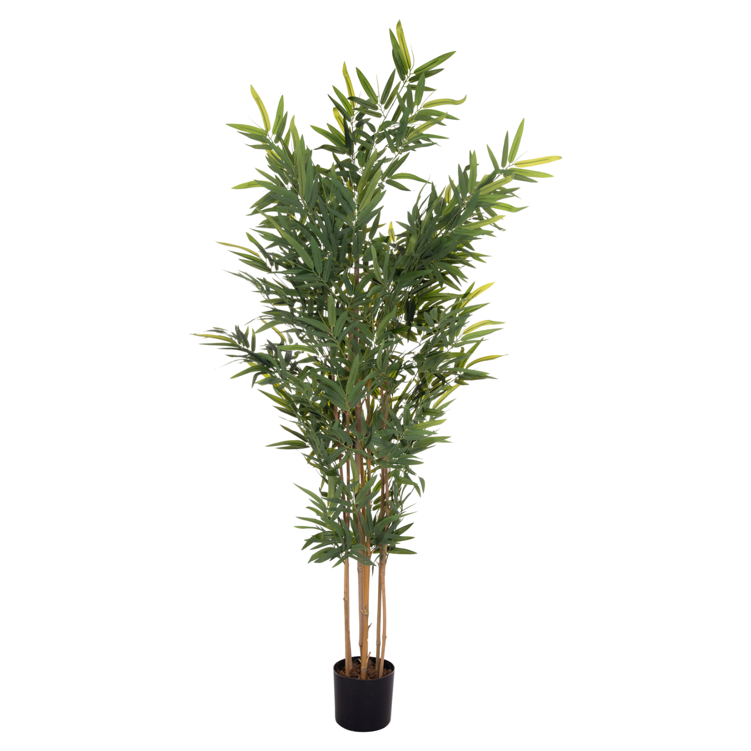 ΔΙΑΚΟΣΜΗΤΙΚΟ ΣΥΝΘΕΤΙΚΟ ΦΥΤΟ HM4737 BAMBOO ΣΕ ΓΛΑΣΤΡΑ 20x95x200Υεκ. 8