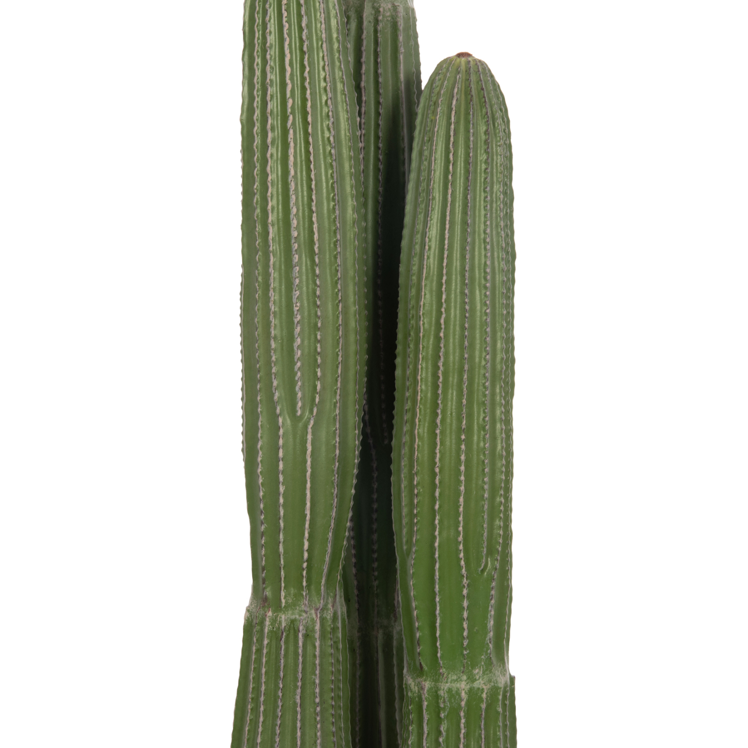 ΔΙΑΚΟΣΜΗΤΙΚΟ ΣΥΝΘΕΤΙΚΟ ΦΥΤΟ HM4745 ΚΑΚΤΟΣ ΜΕ ΓΛΑΣΤΡΑ Φ17,5x144Υεκ. 4