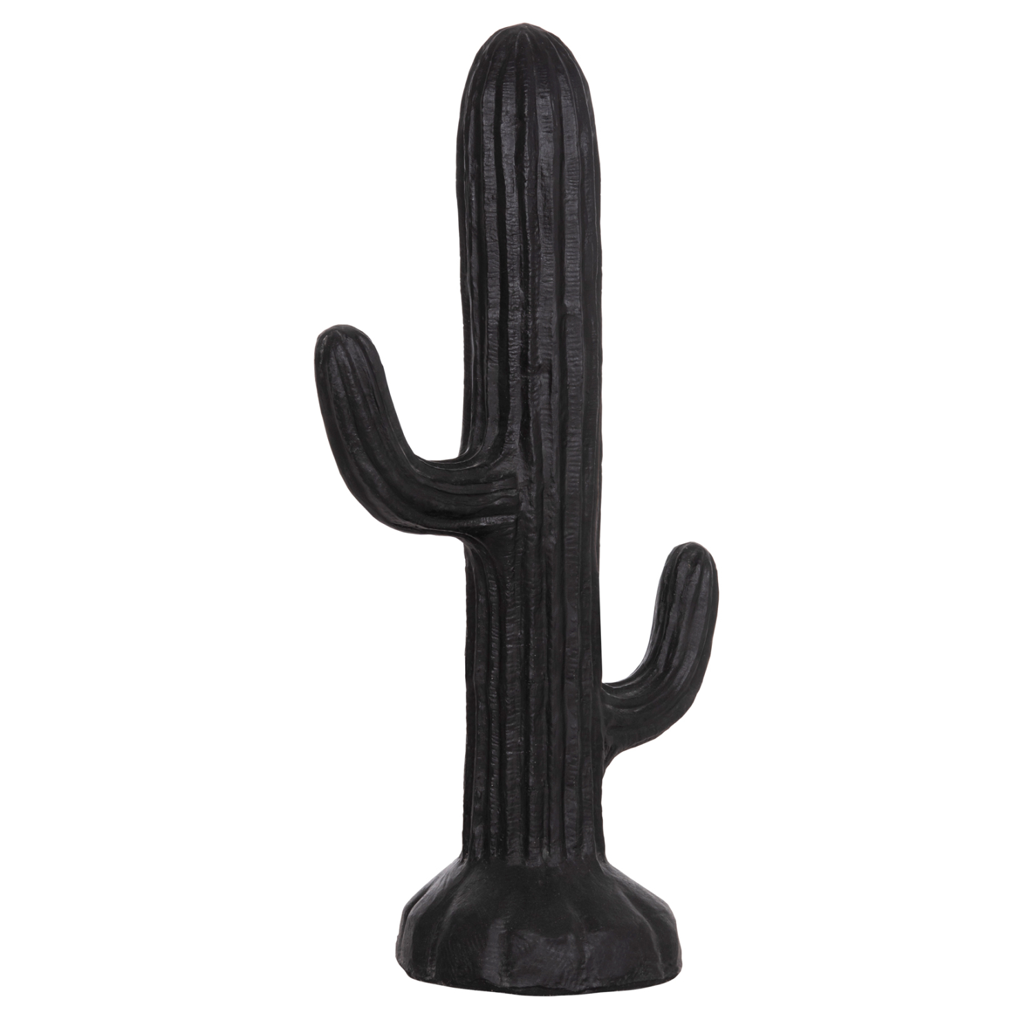 ΔΙΑΚΟΣΜΗΤΙΚΟΣ ΚΑΚΤΟΣ ΔΑΠΕΔΟΥ CACTUS HM4386.01L ΓΥΨΟΣ ΣΕ ΜΑΥΡΟ 63x37x150Υεκ. 1