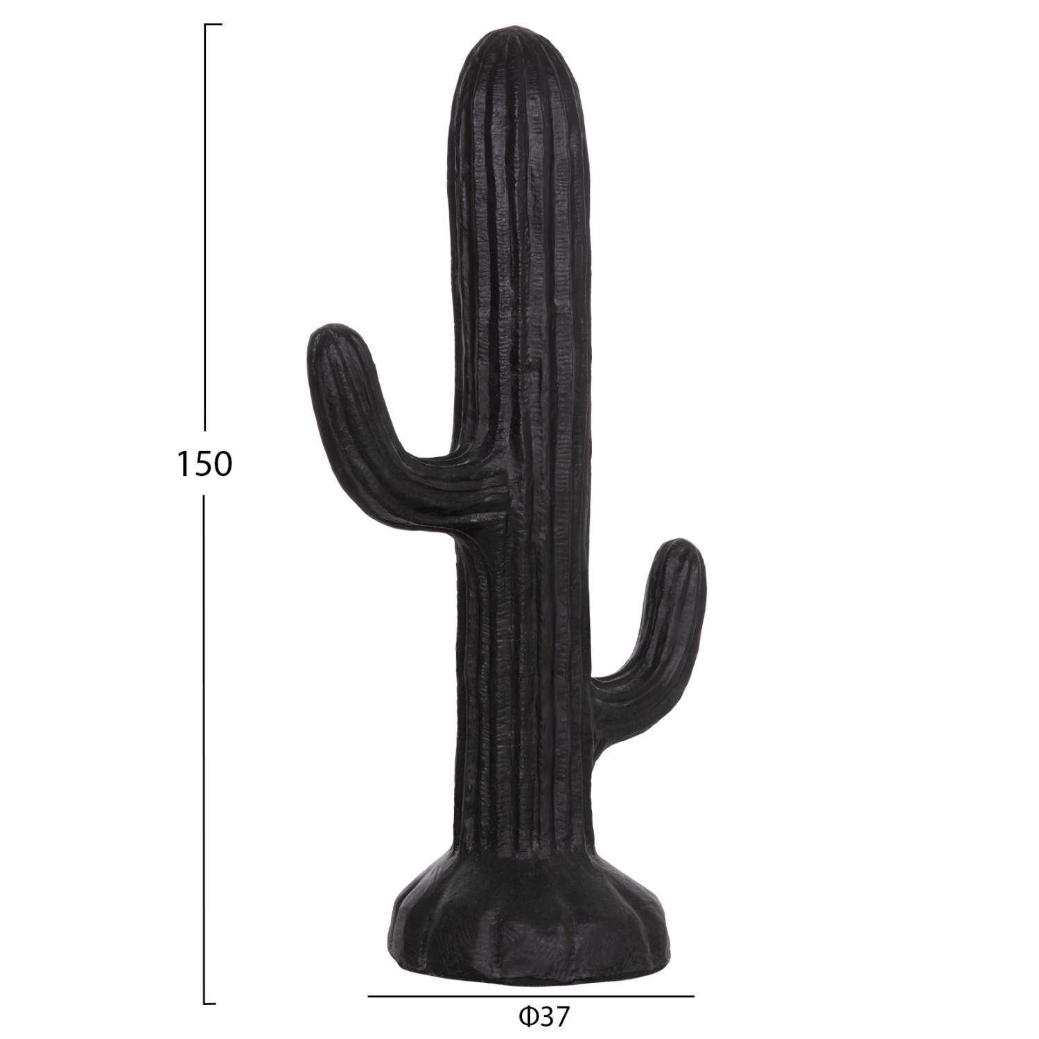 ΔΙΑΚΟΣΜΗΤΙΚΟΣ ΚΑΚΤΟΣ ΔΑΠΕΔΟΥ CACTUS HM4386.01L ΓΥΨΟΣ ΣΕ ΜΑΥΡΟ 63x37x150Υεκ. 2