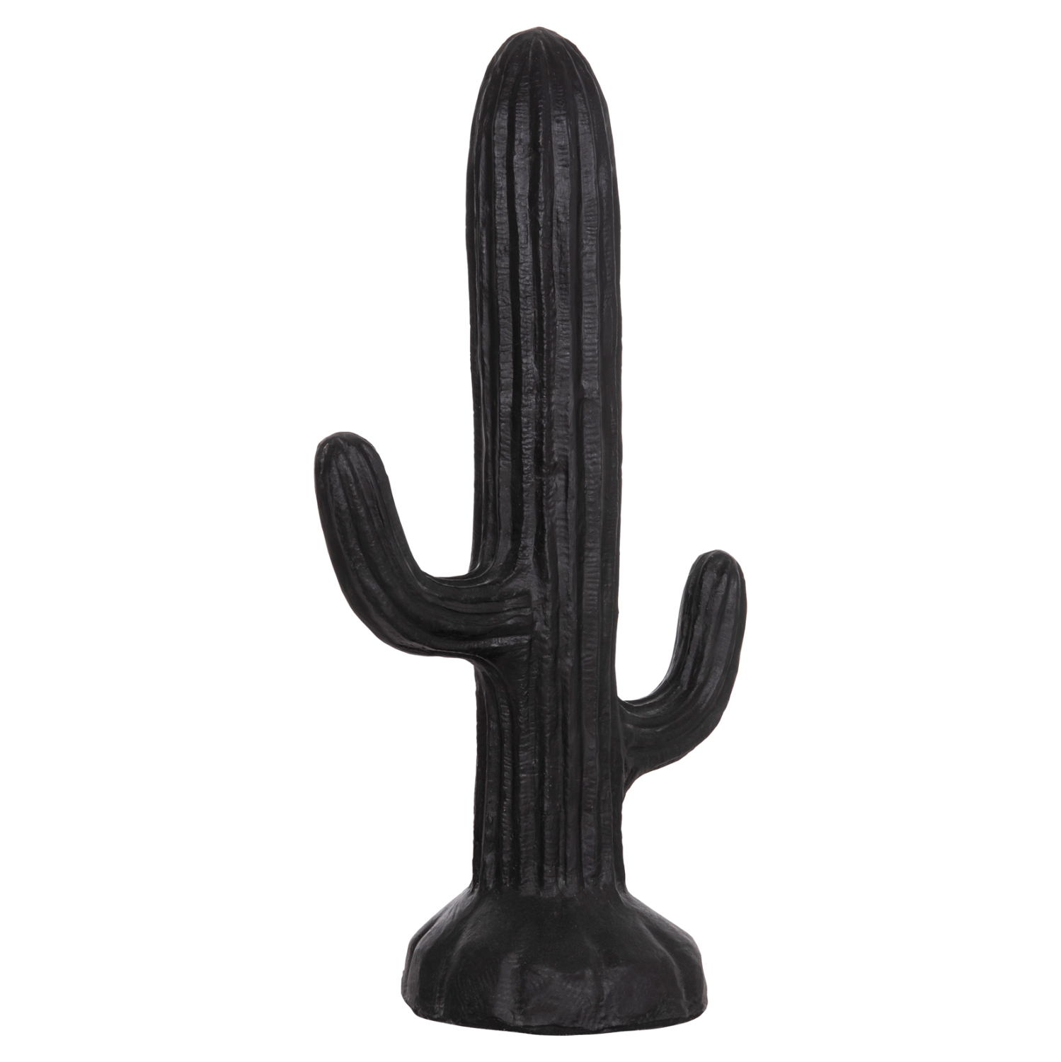 ΔΙΑΚΟΣΜΗΤΙΚΟΣ ΚΑΚΤΟΣ ΔΑΠΕΔΟΥ CACTUS HM4386.01M ΓΥΨΟΣ ΣΕ ΜΑΥΡΟ 54x34x103Υεκ. 1