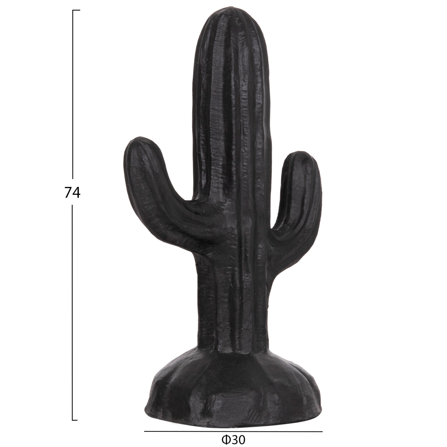 ΔΙΑΚΟΣΜΗΤΙΚΟΣ ΚΑΚΤΟΣ ΔΑΠΕΔΟΥ CACTUS HM4386.01S ΓΥΨΟΣ ΣΕ ΜΑΥΡΟ 42x30x74Υεκ. 2