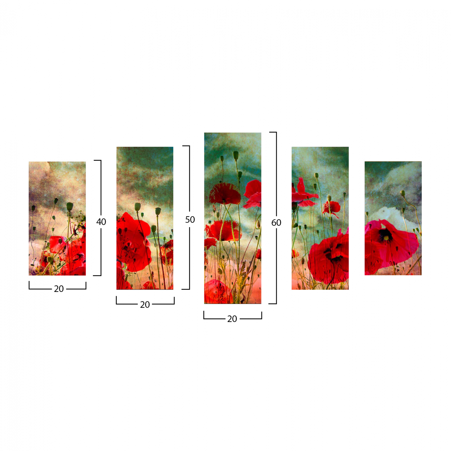 ΠΙΝΑΚΑΣ ΠΕΝΤΑΠΤΥΧΟ MDF POPPY FIELD HM7206.03 100X0,3X60 εκ. 2