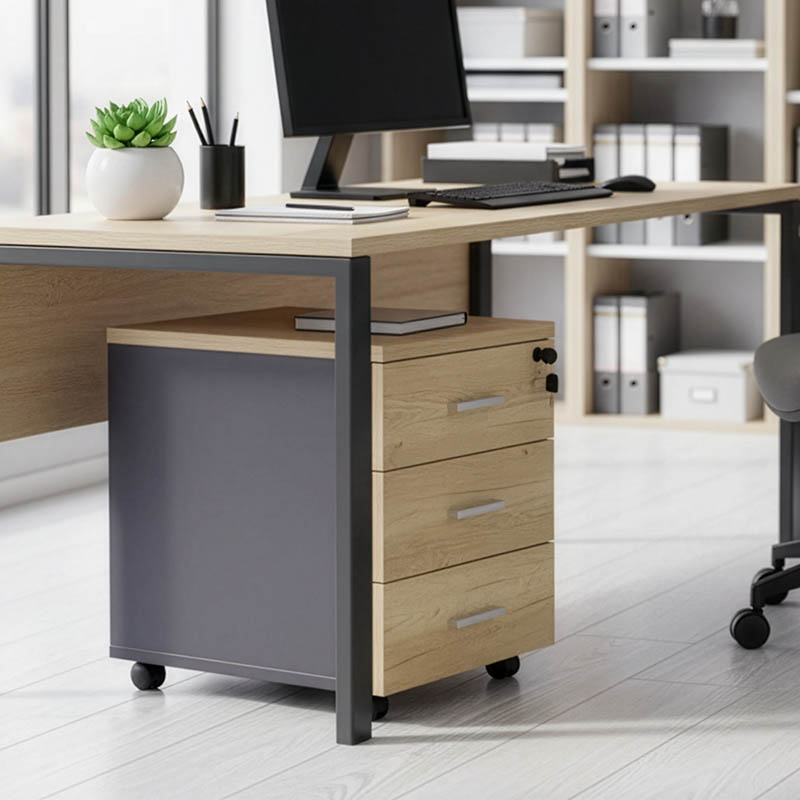 Συρταριέρα τροχήλατη Lotus pakoworld 3ων συρταριών φυσικό-ανθρακί χρώμα 40x47x55εκ 2