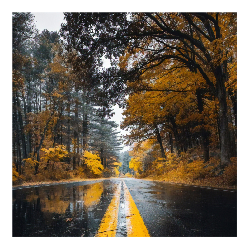 Πίνακας σε καμβά Savgone pakoworld ψηφιακής εκτύπωσης 50x1.8x50εκ 1