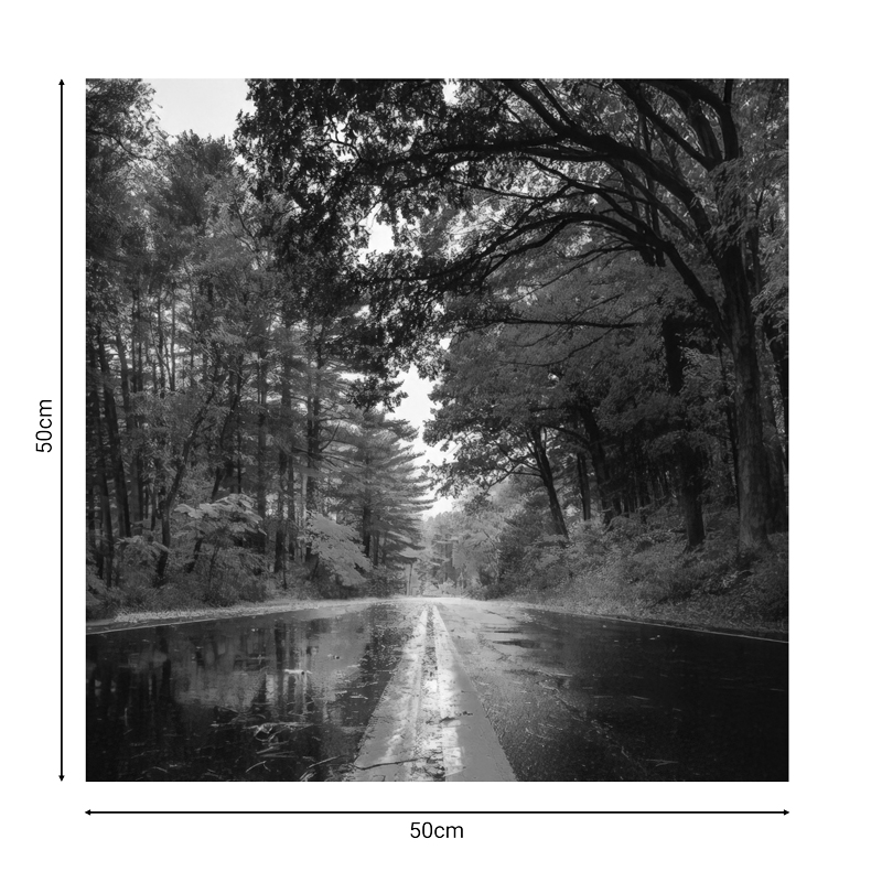 Πίνακας σε καμβά Savgone pakoworld ψηφιακής εκτύπωσης 50x1.8x50εκ 2