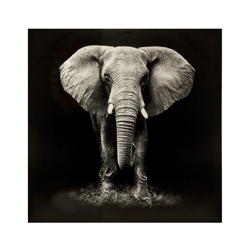 Πίνακας σε καμβά Elephie pakoworld mdf 100x3x100εκ 1