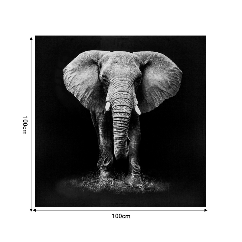 Πίνακας σε καμβά Elephie pakoworld mdf 100x3x100εκ 2