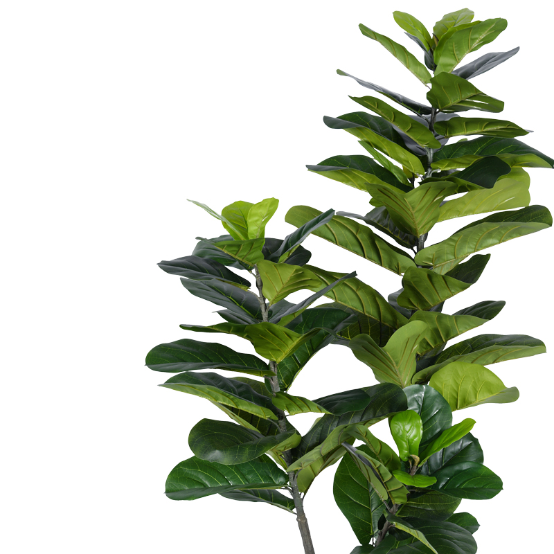 Διακοσμητικό φυτό Fiddlehead I σε γλάστρα Inart πράσινο pp Υ180εκ 2