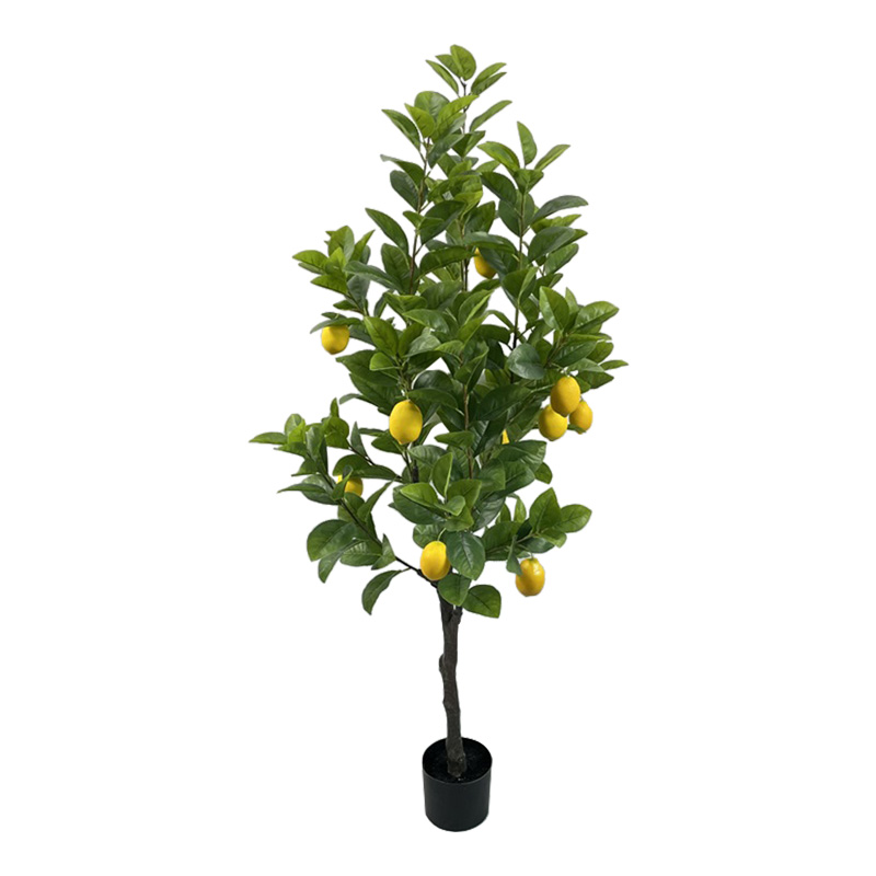 Διακοσμητικό φυτό Lemon tree σε γλάστρα Inart πράσινο pp Υ150εκ 1