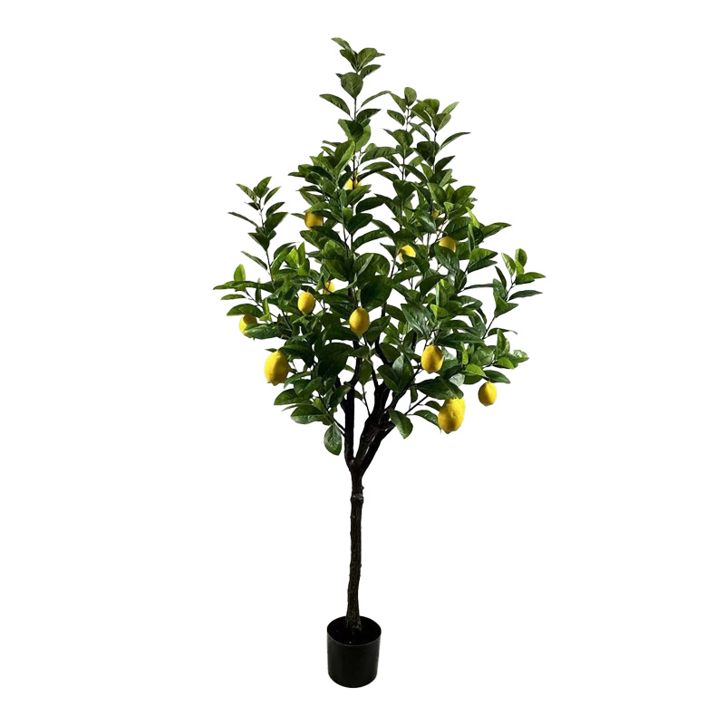 Διακοσμητικό φυτό Lemon tree σε γλάστρα Inart πράσινο pp Υ180εκ 1