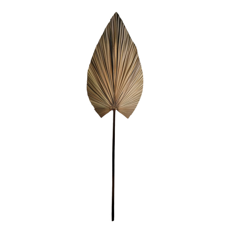 Διακοσμητικό φύλλο Leafen pakoworld φυσικό palm leaf 150 εκ 1